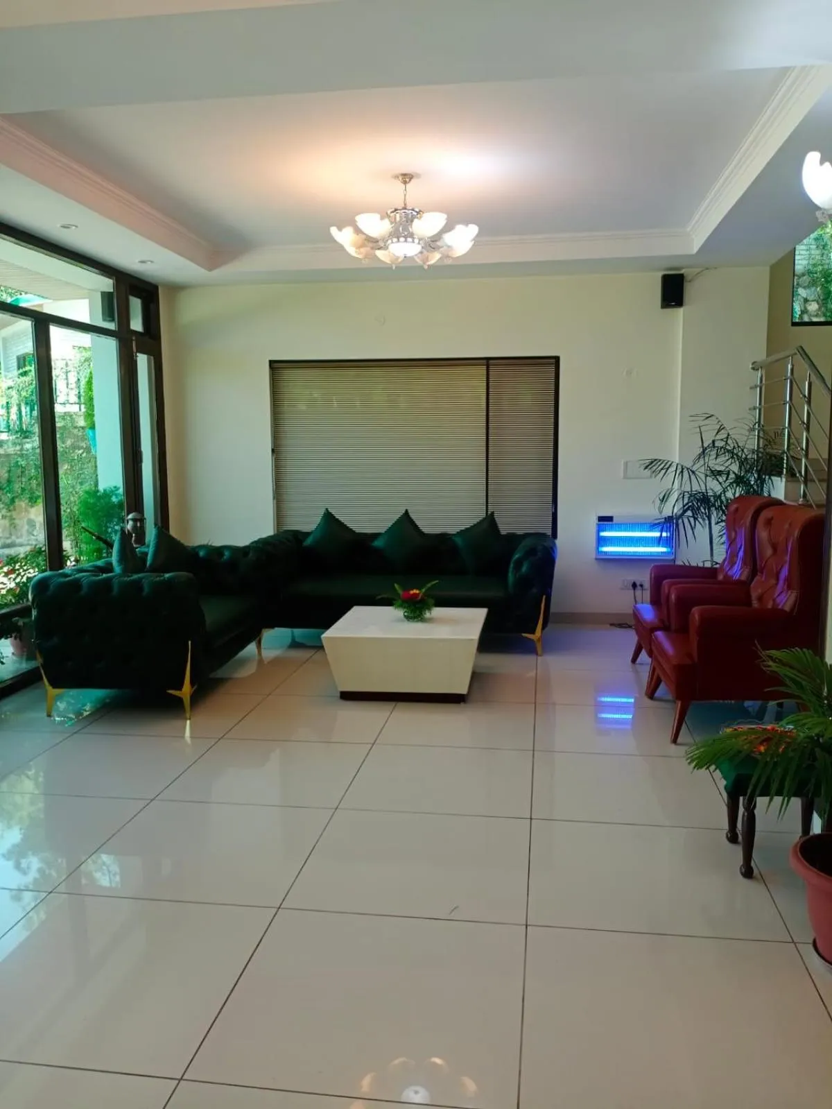 Pineland Resorts & Chalets Kasauli