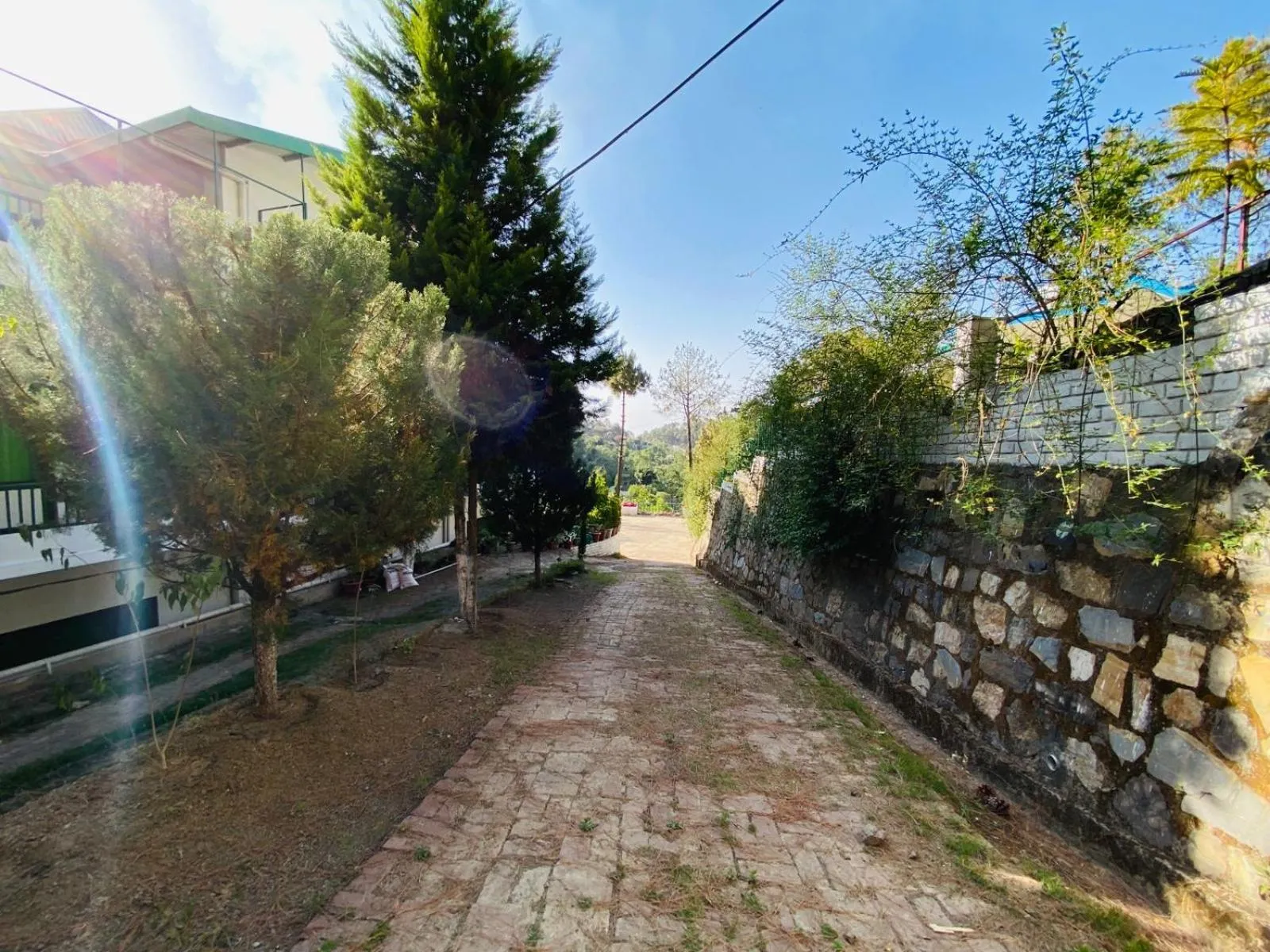 Pineland Resorts & Chalets Kasauli