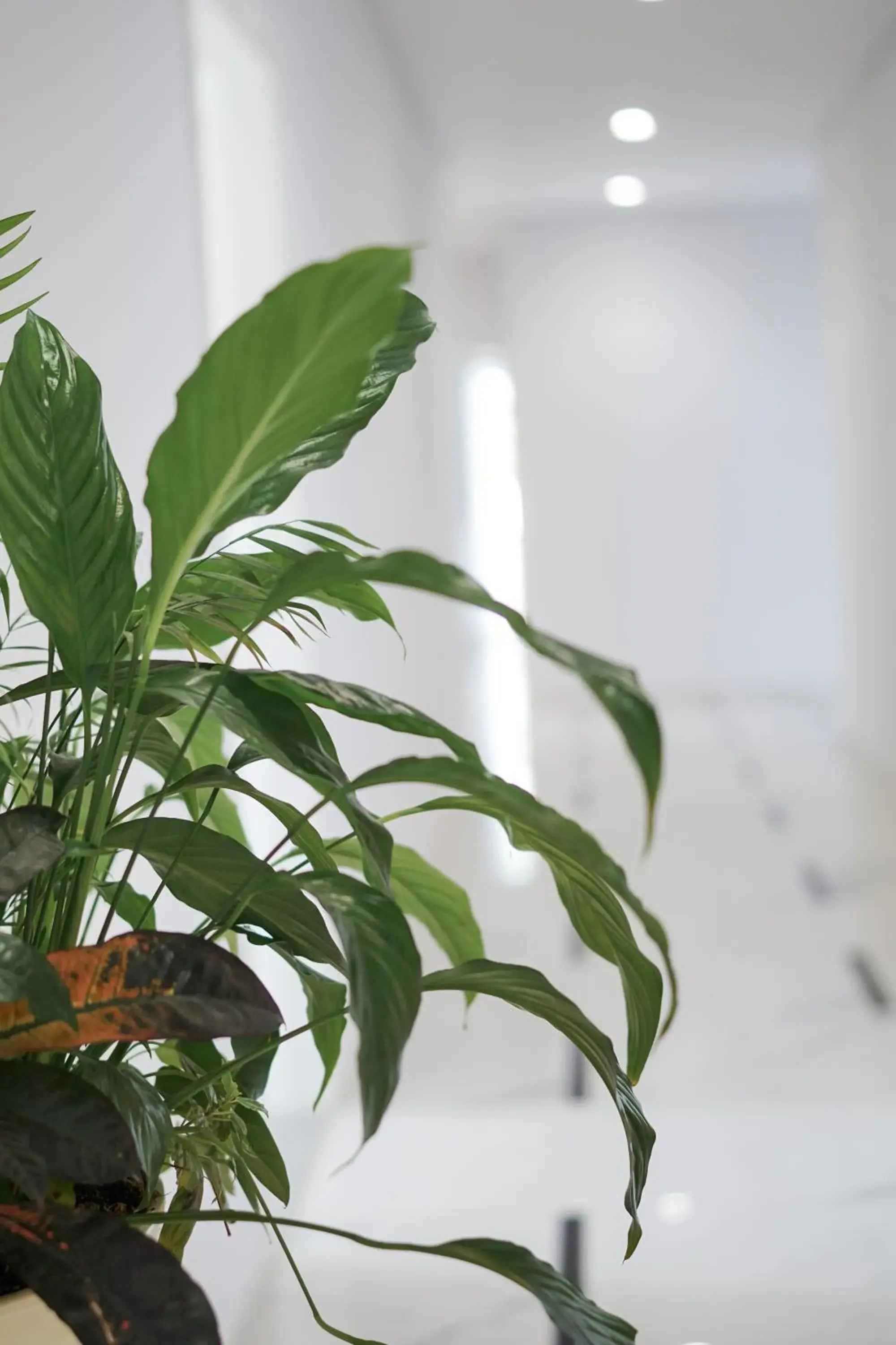 Property building in Relax Mea Hotel Property building in Relax Mea Hotel