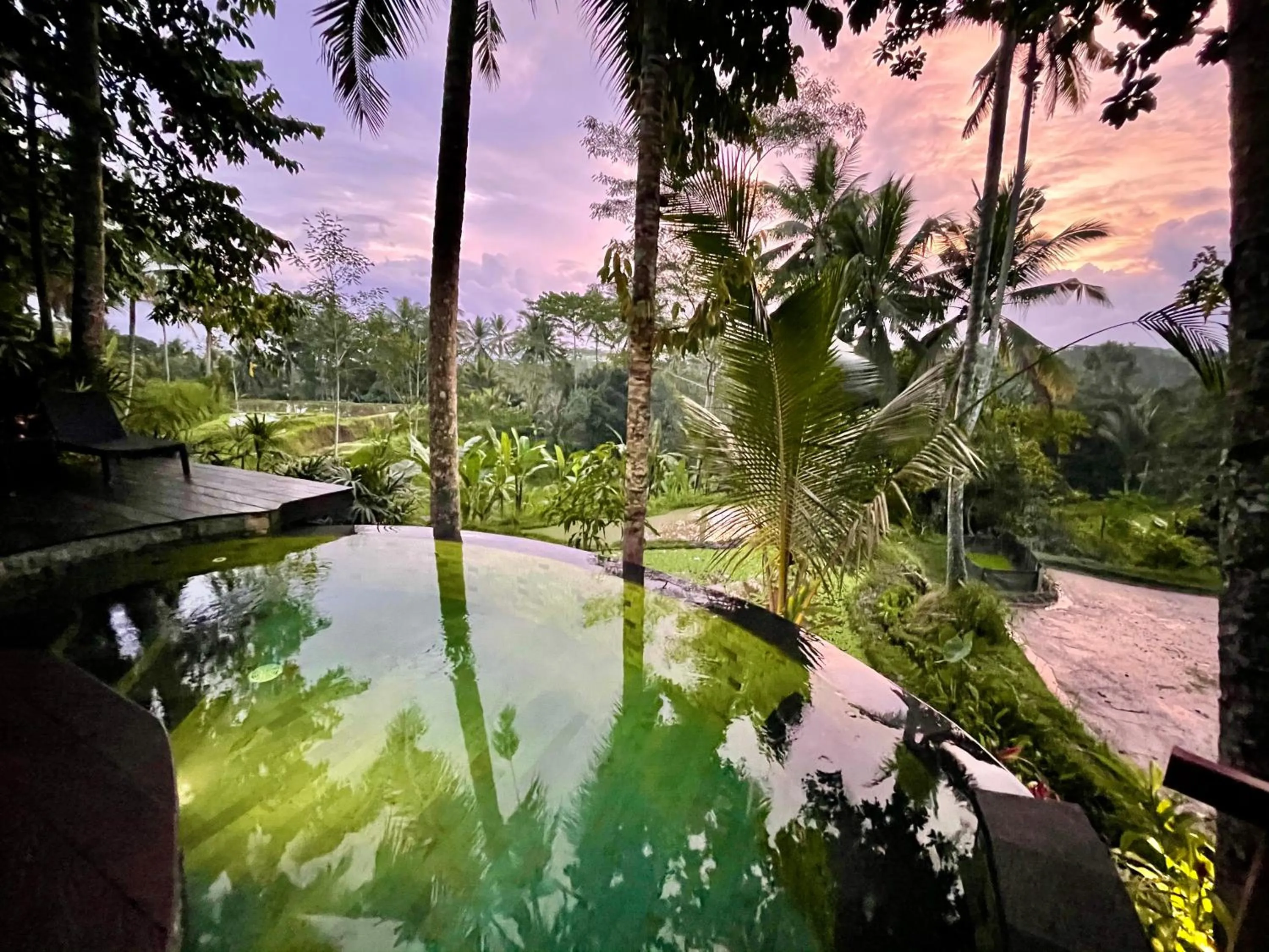 Pool view in Masakali Retreat