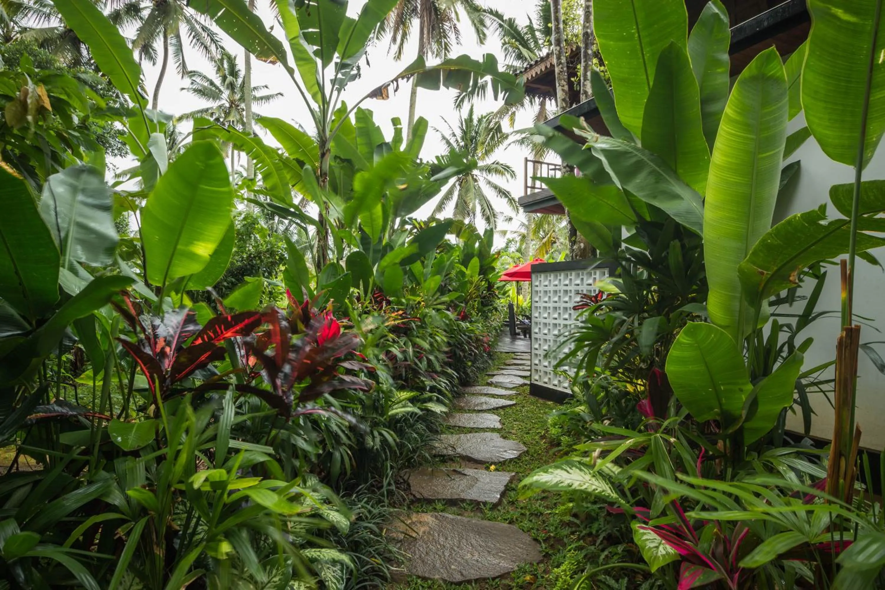 Facade/entrance in Masakali Retreat