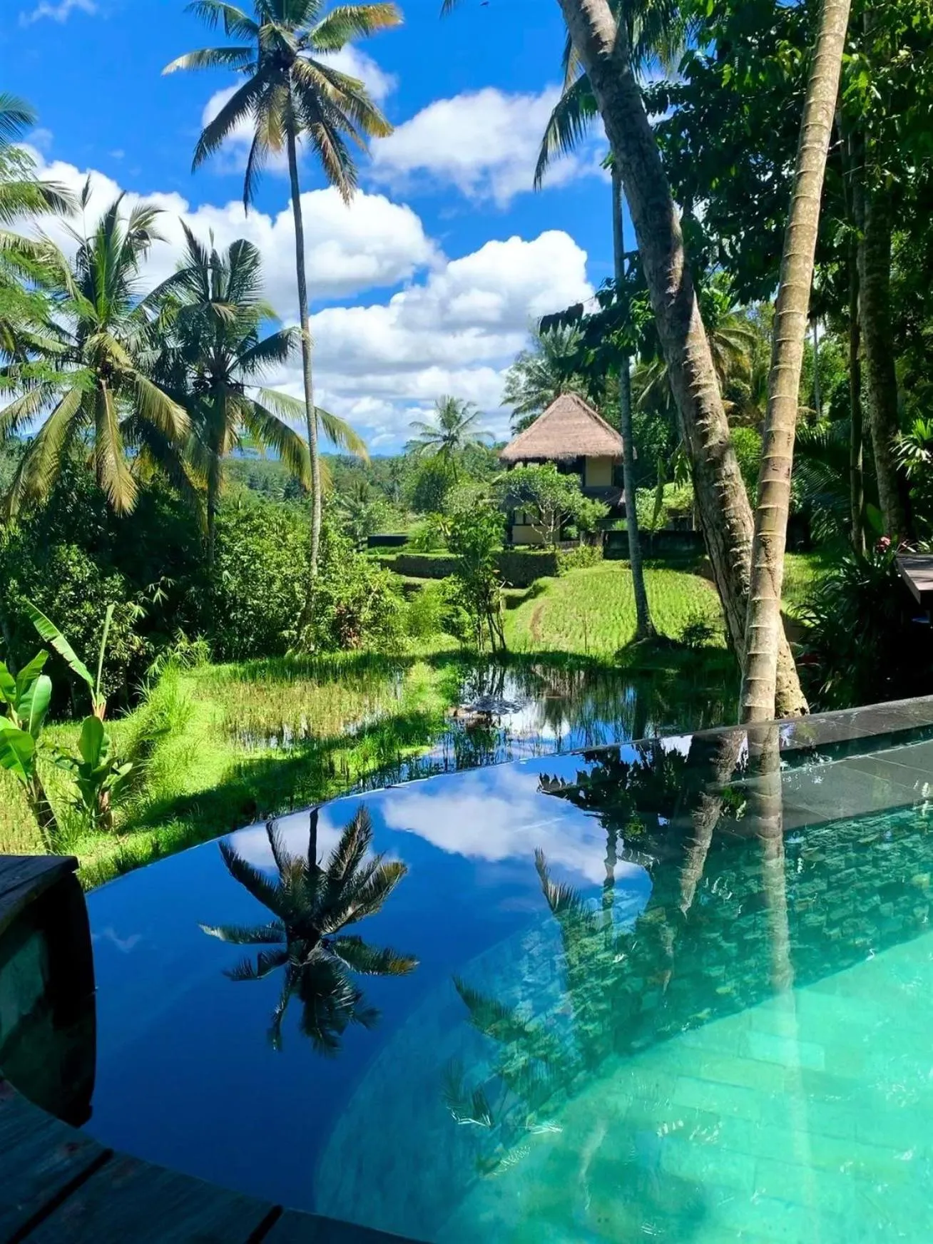 View (from property/room) in Masakali Retreat