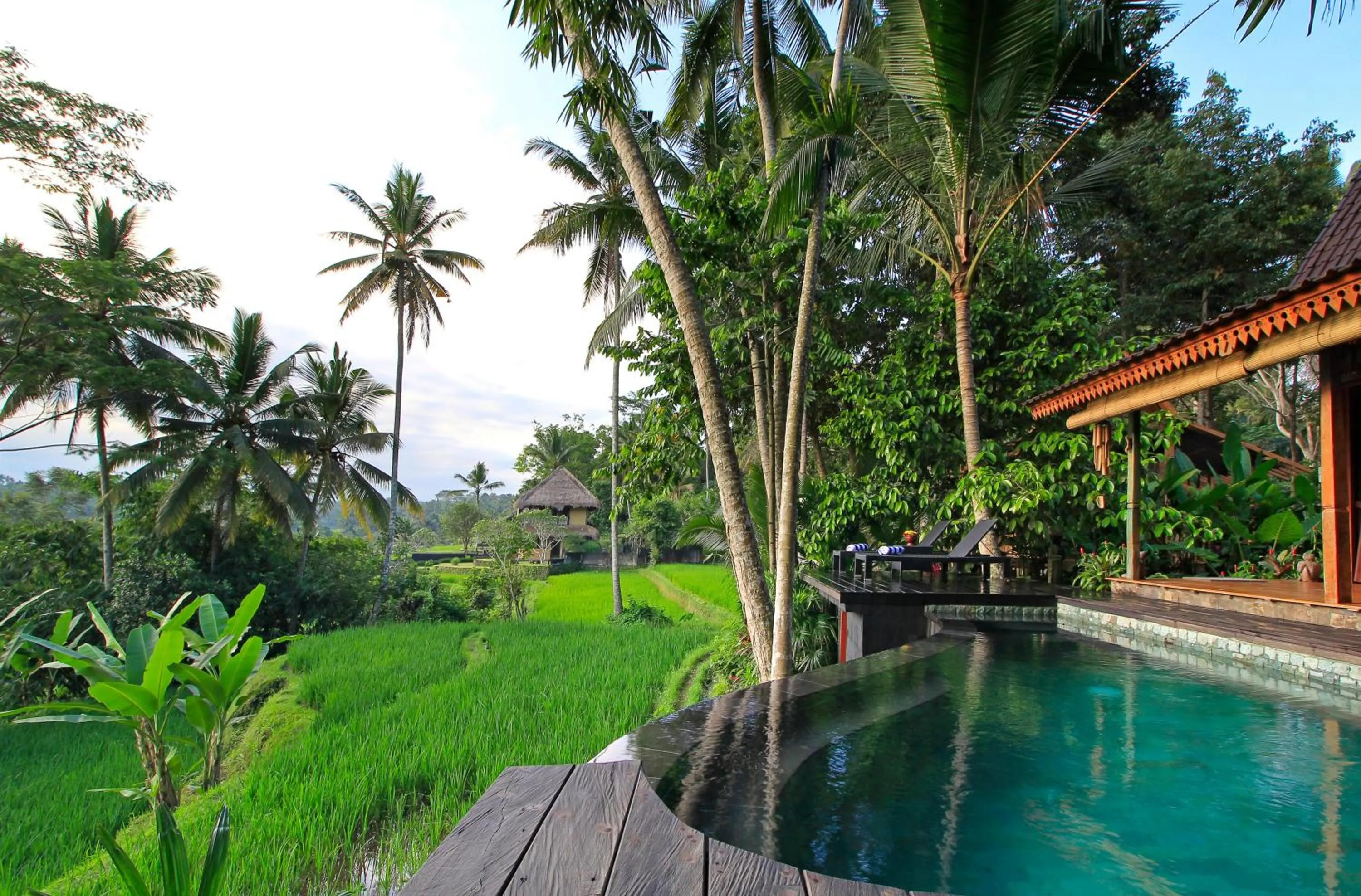 View (from property/room) in Masakali Retreat