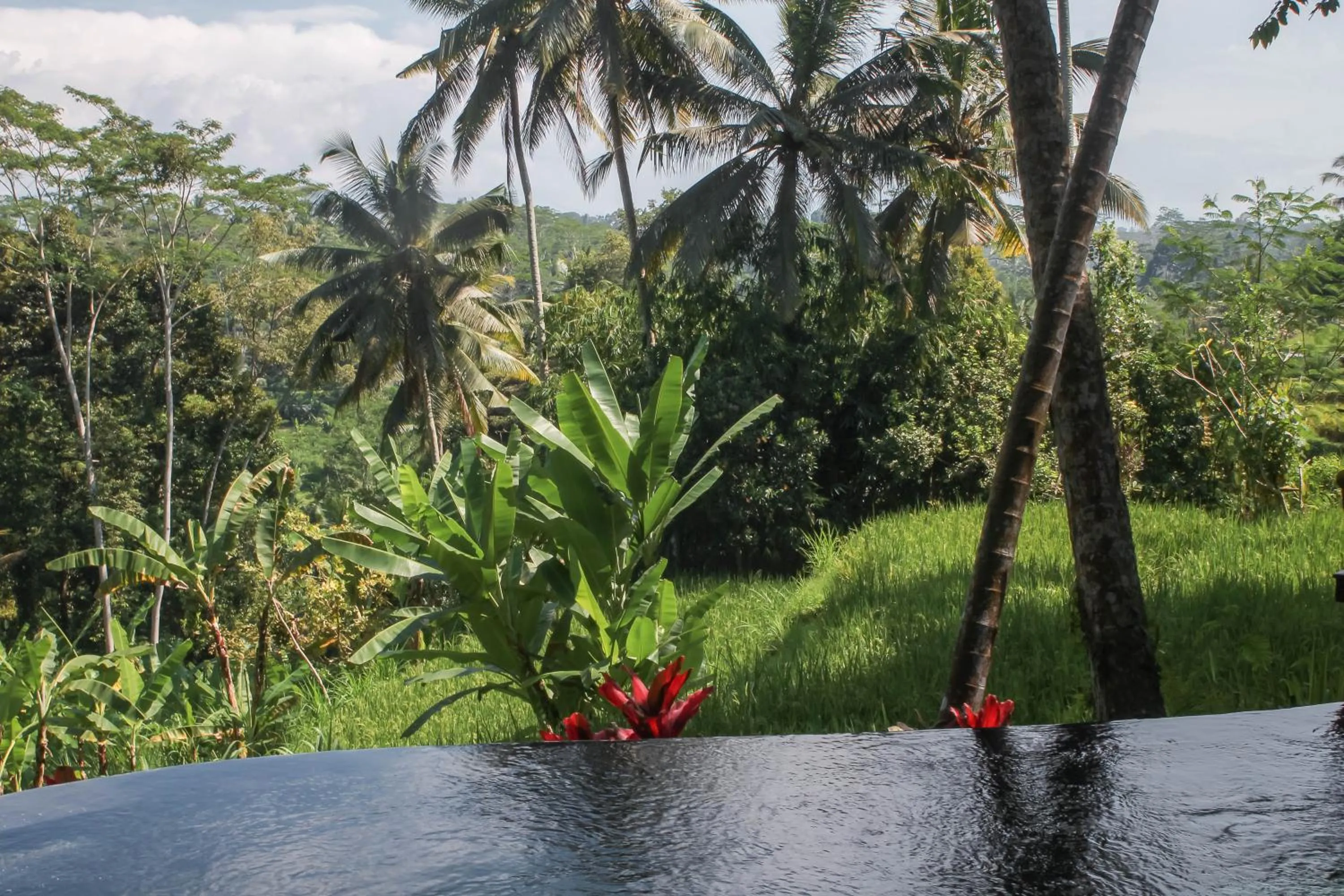 View (from property/room) in Masakali Retreat