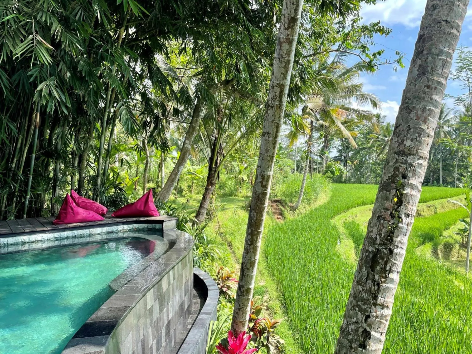 View (from property/room) in Masakali Retreat