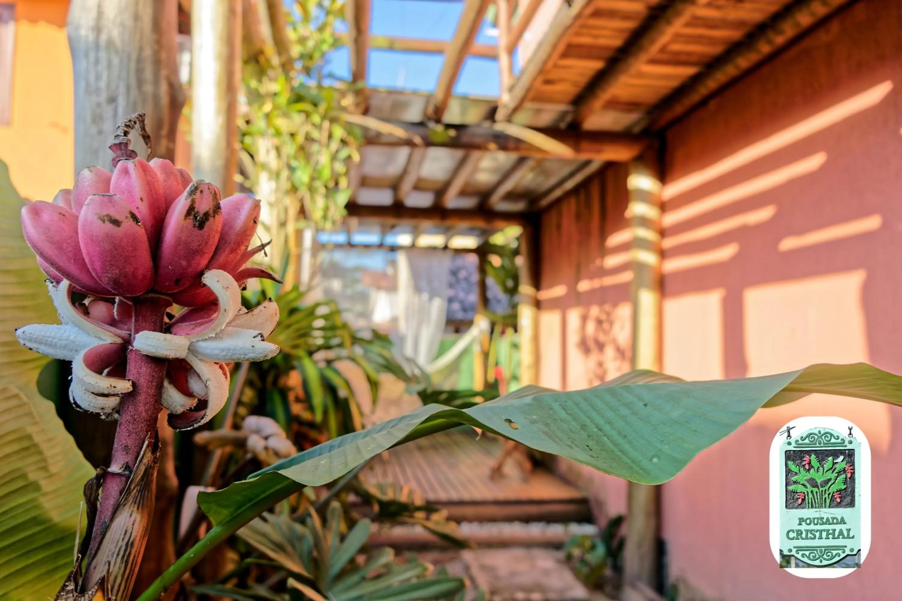 Spring in Pousada Cristhal Paraty