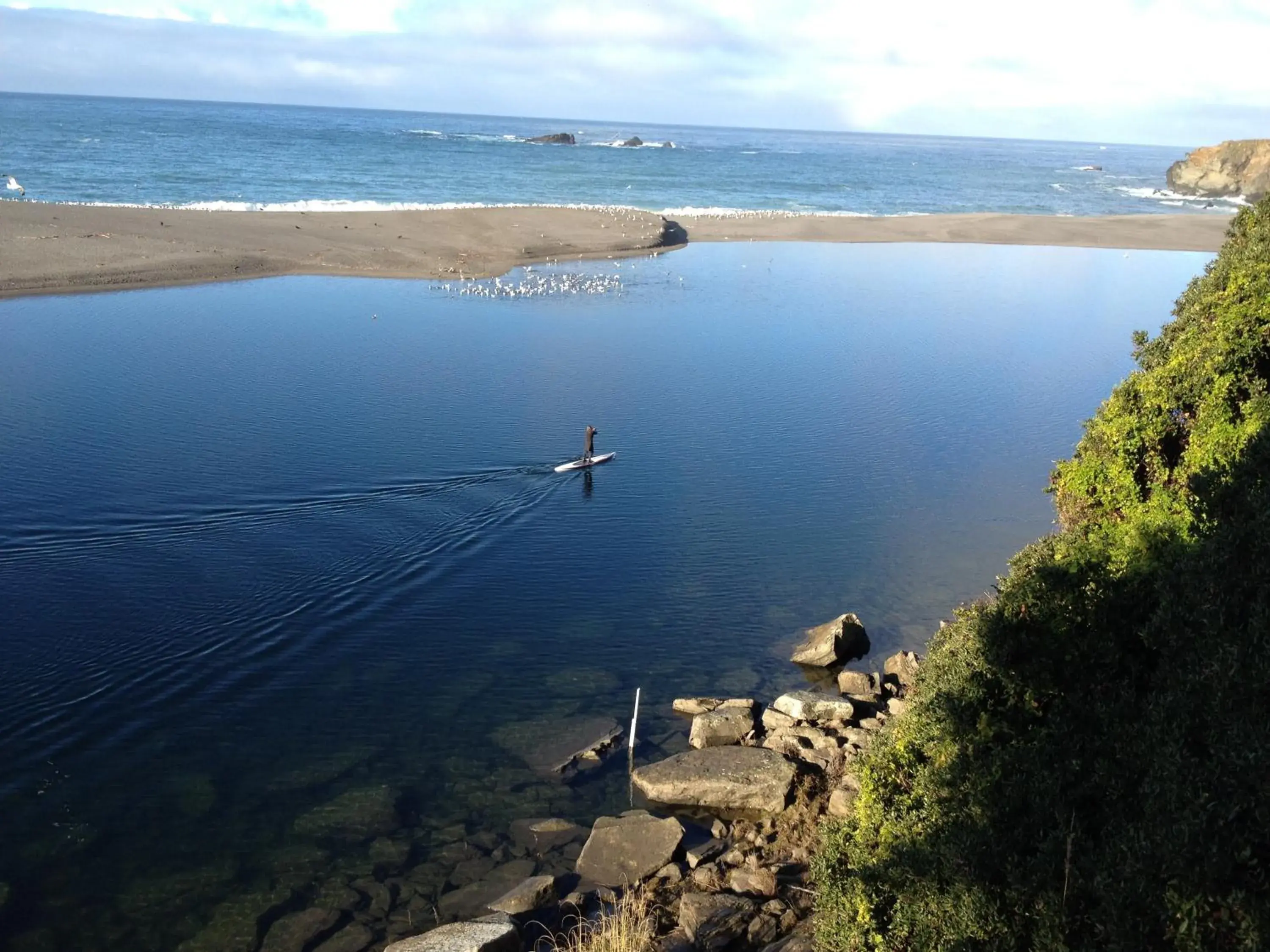 View (from property/room) in Gualala Surf Inn on the ocean bluff View (from property/room) in Gualala Surf Inn on the ocean bluff
