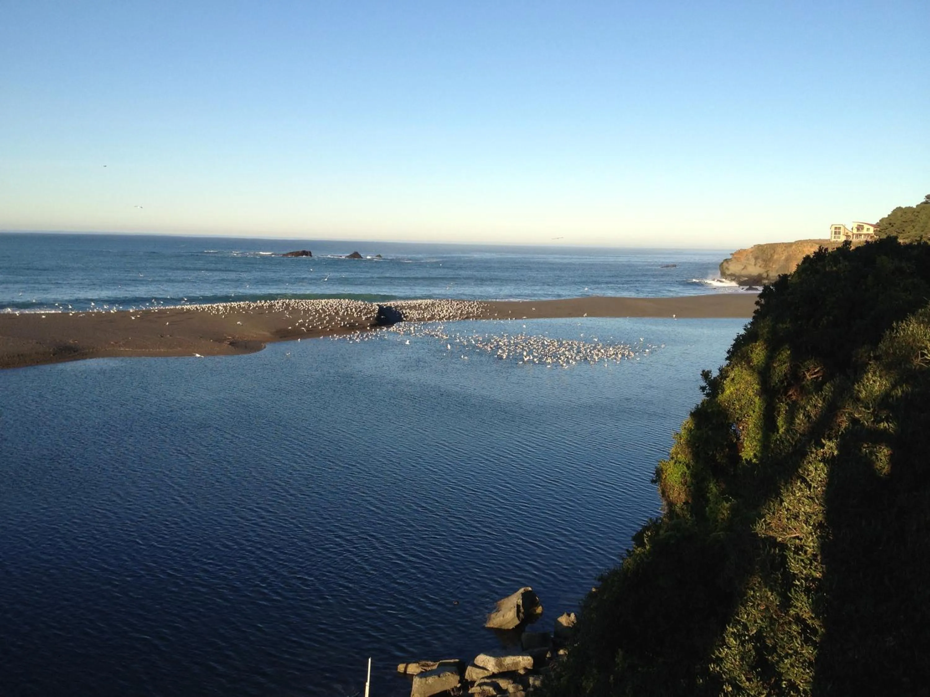 View (from property/room) in Gualala Surf Inn on the ocean bluff