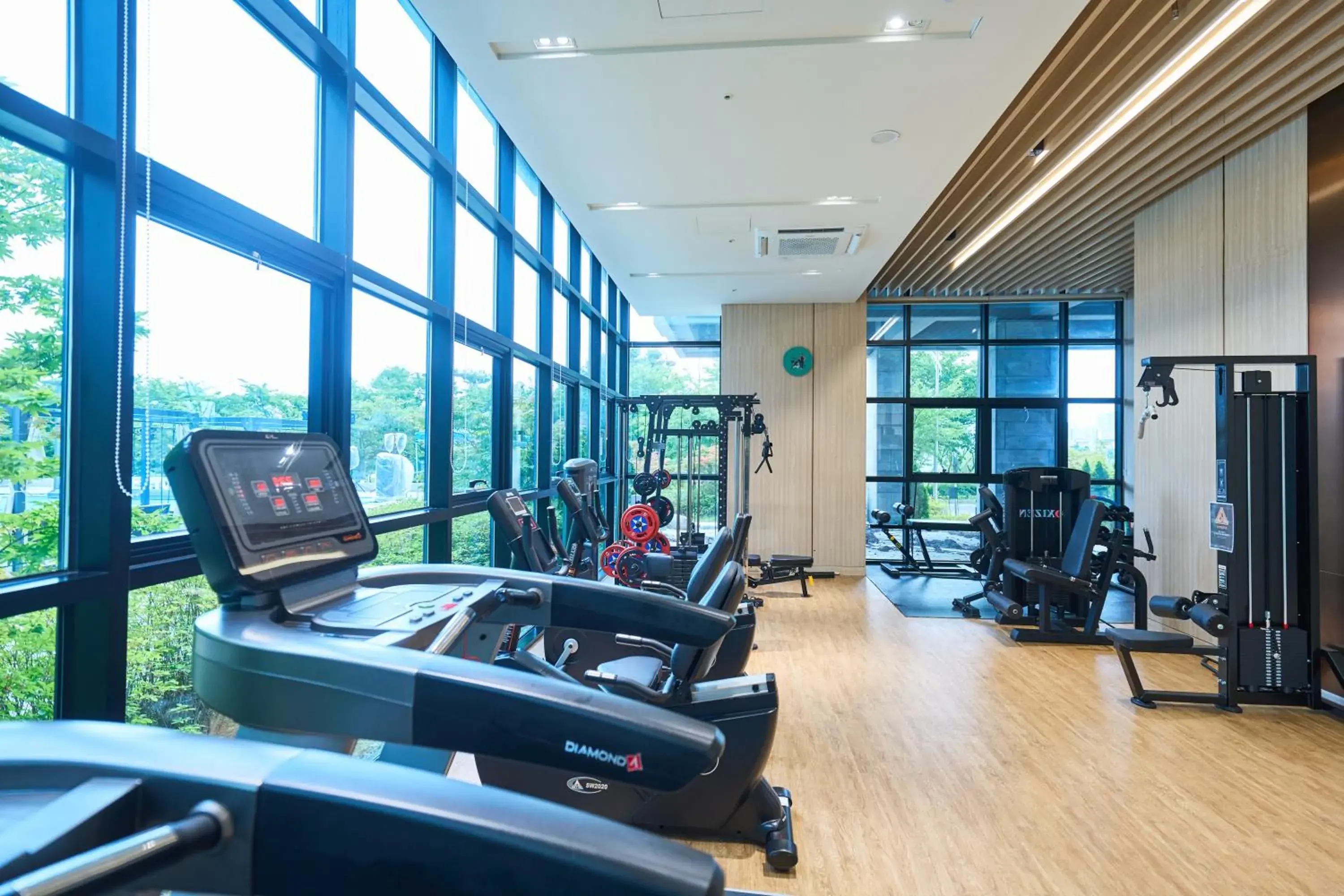 Fitness centre/facilities in Chestertons Sokcho Fitness centre/facilities in Chestertons Sokcho