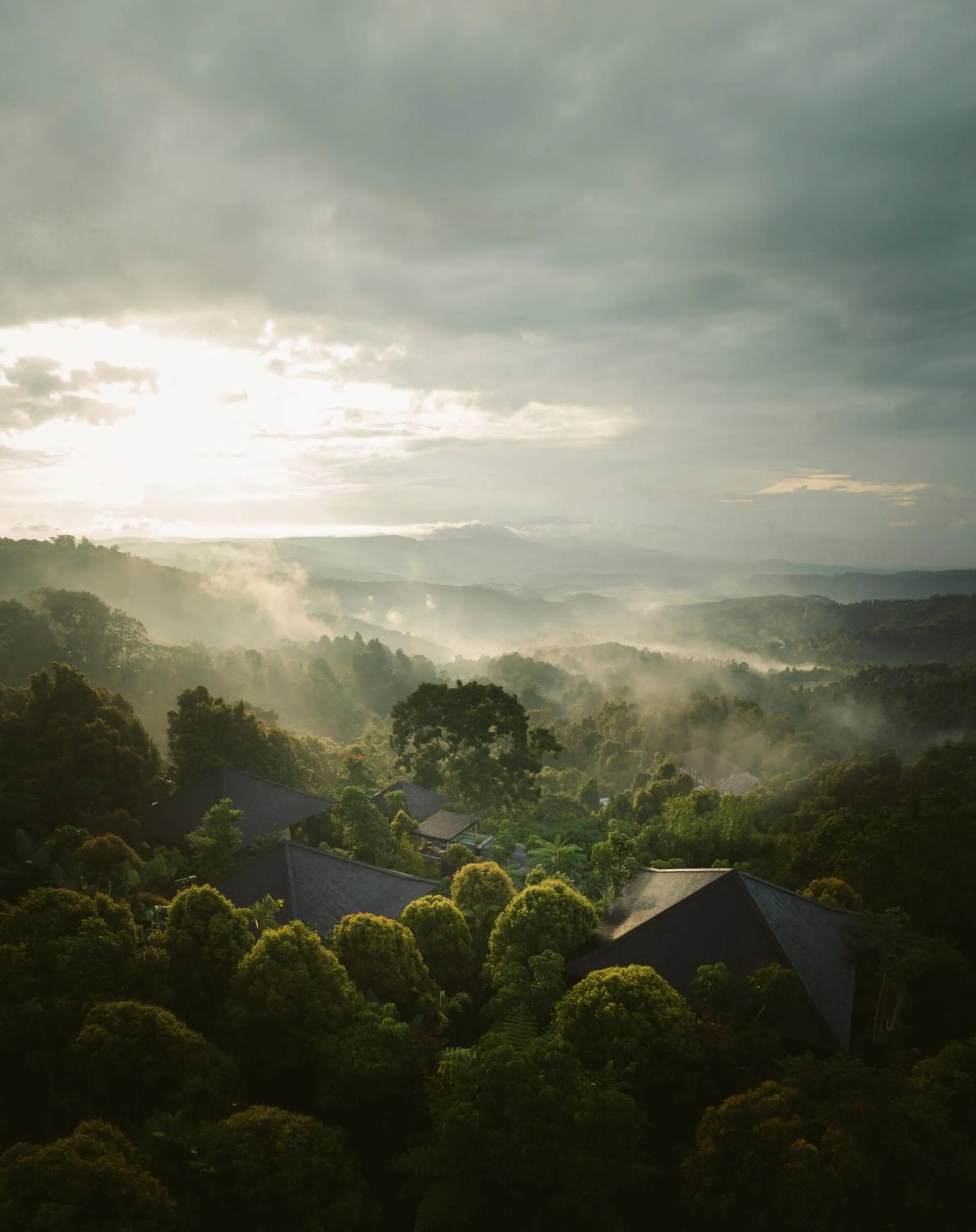 Natural landscape in Munduk Cabins