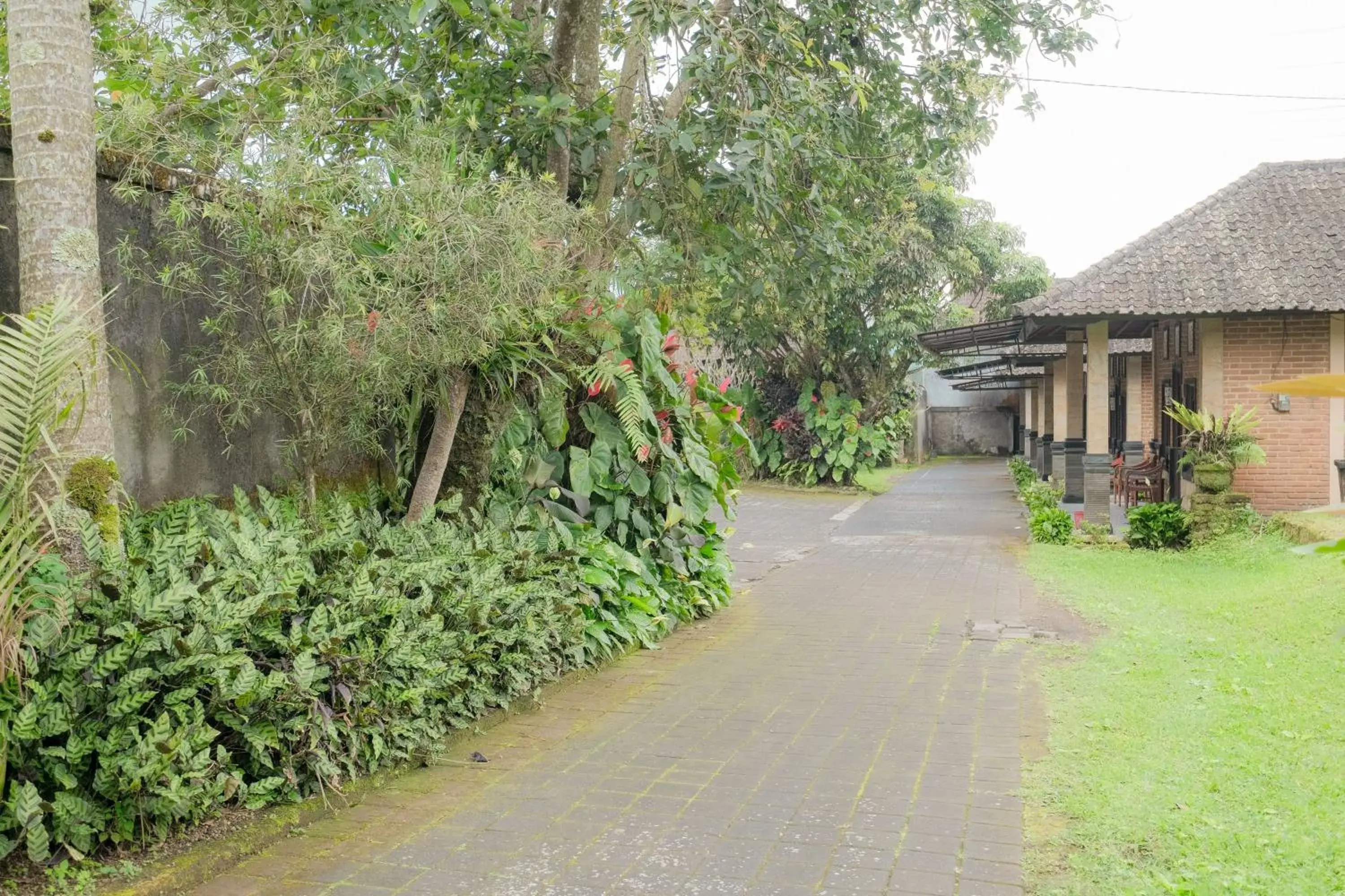 Property building in Pelangi Homestay Bedugul RedPartner Property building in Pelangi Homestay Bedugul RedPartner