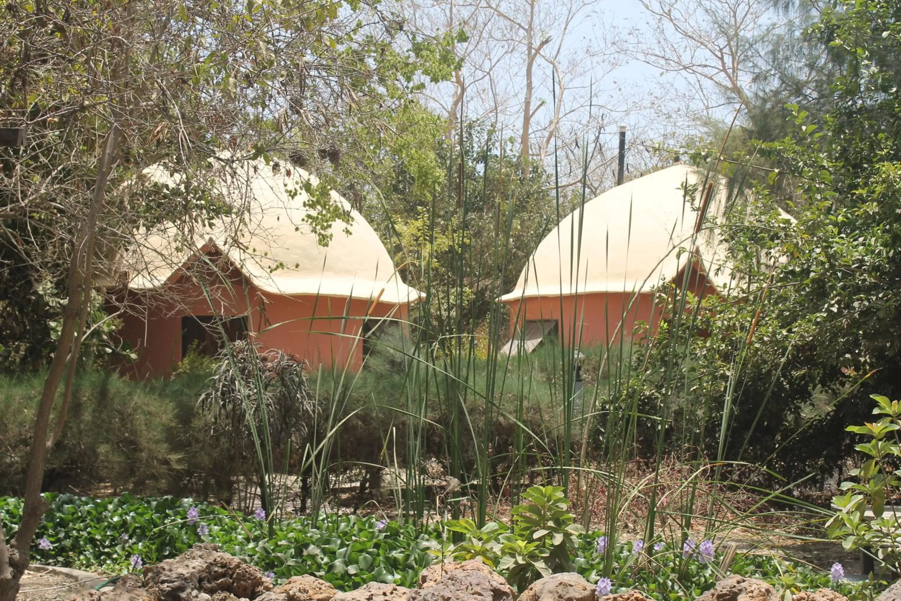 Property building in Footsteps Eco-Lodge