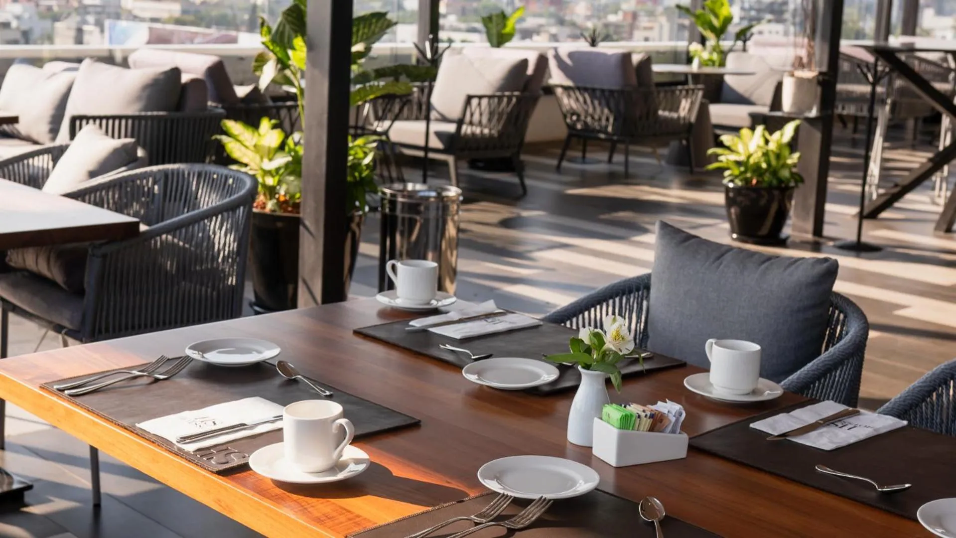 Restaurant/places to eat in HS HOTSSON Long Stay CDMX Condesa Sur