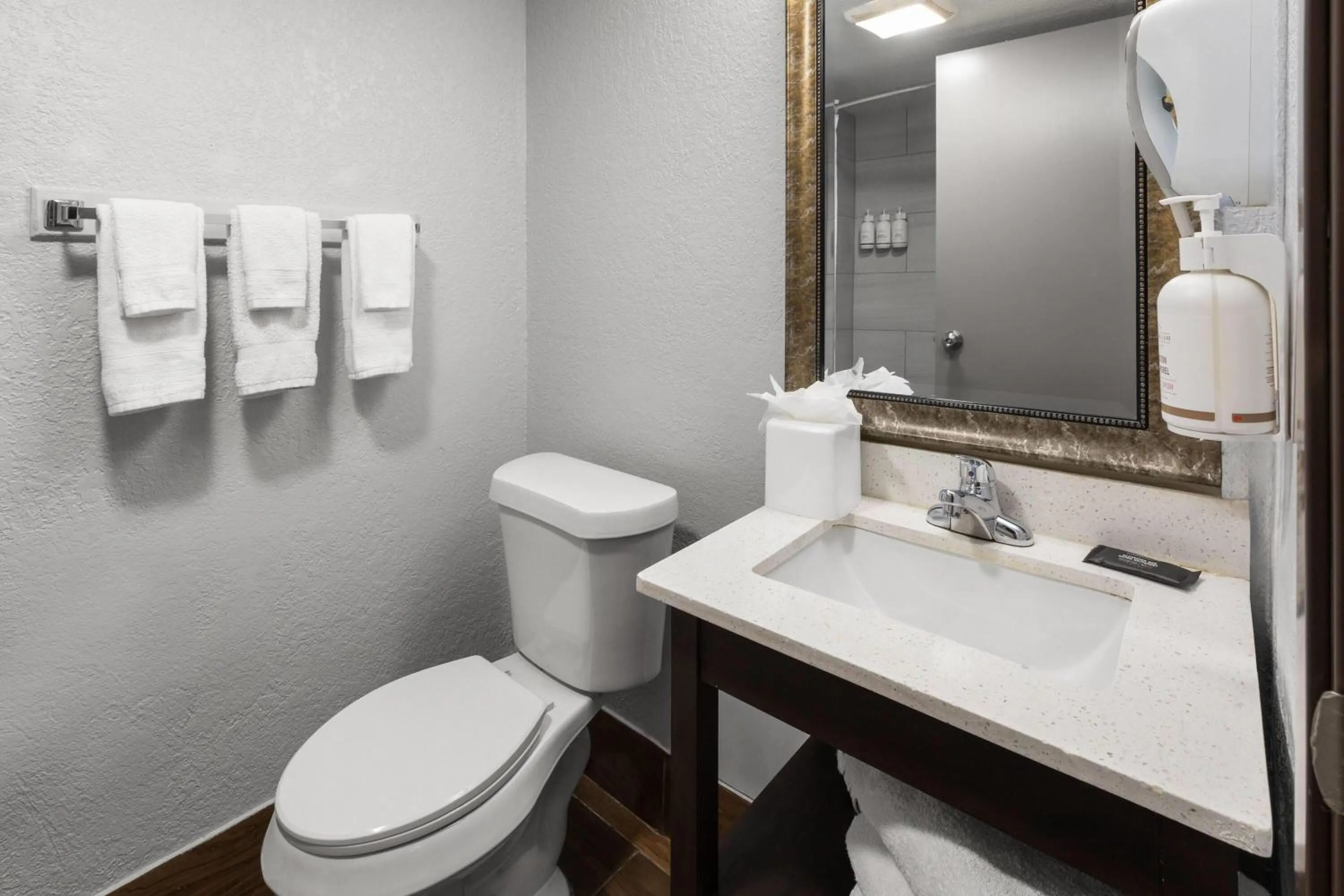 Bathroom in Baymont by Wyndham Downtown Detroit