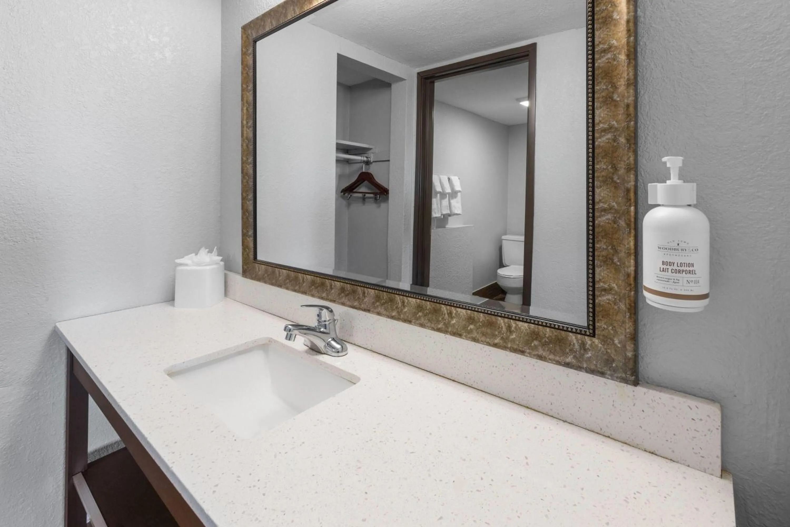 Bathroom in Baymont by Wyndham Downtown Detroit