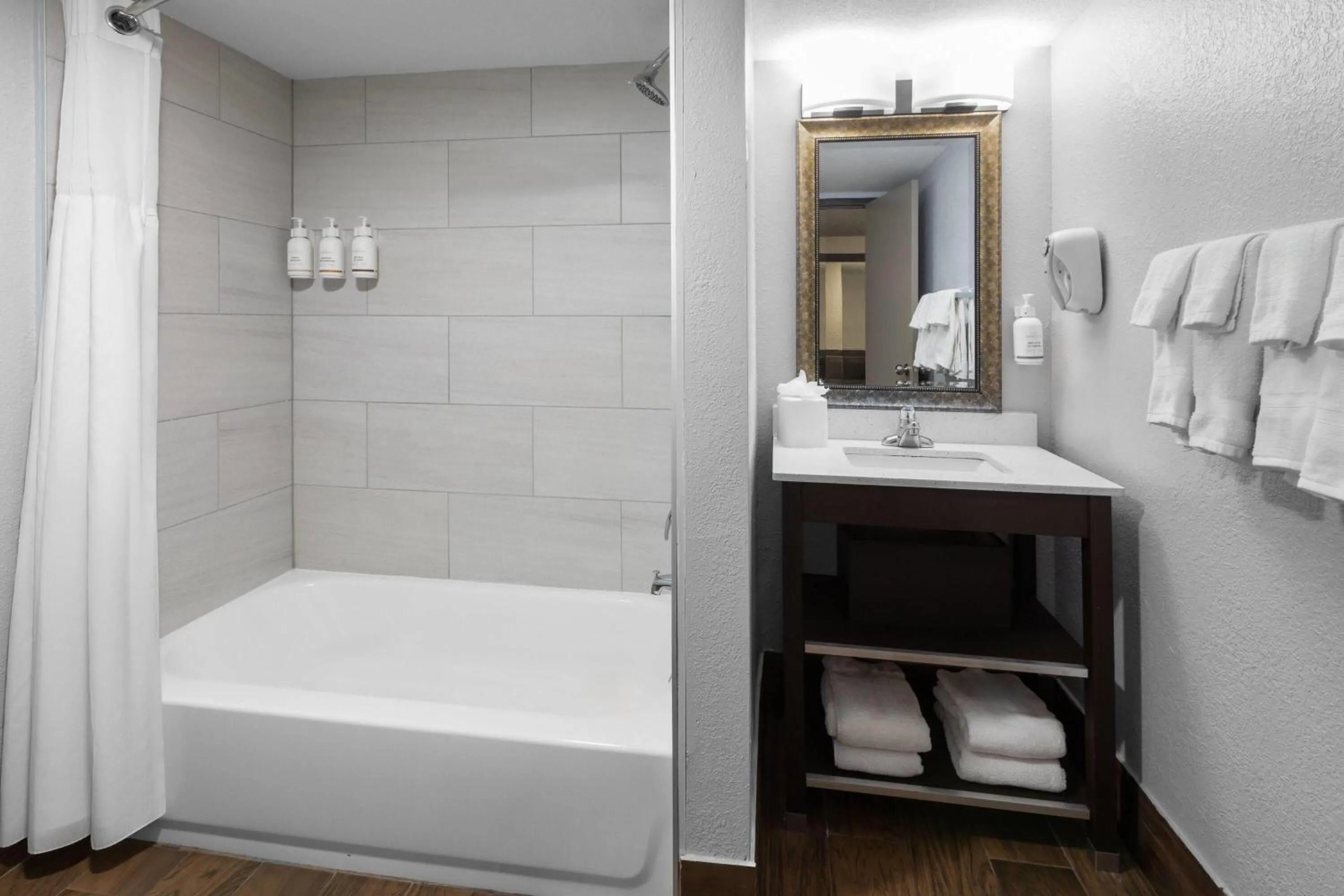 Bathroom in Baymont by Wyndham Downtown Detroit