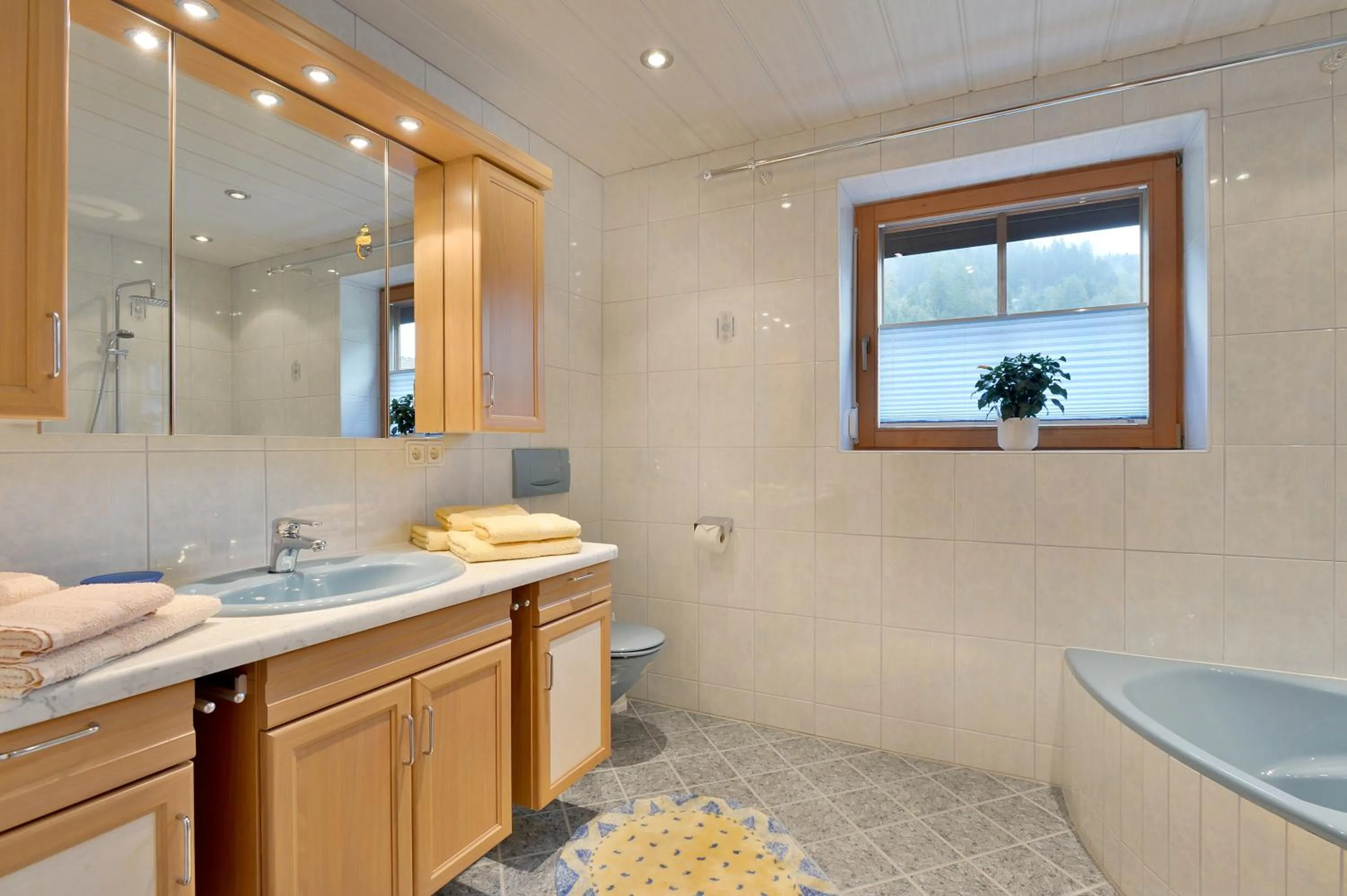 Shower in Ferienwohnung Prosch