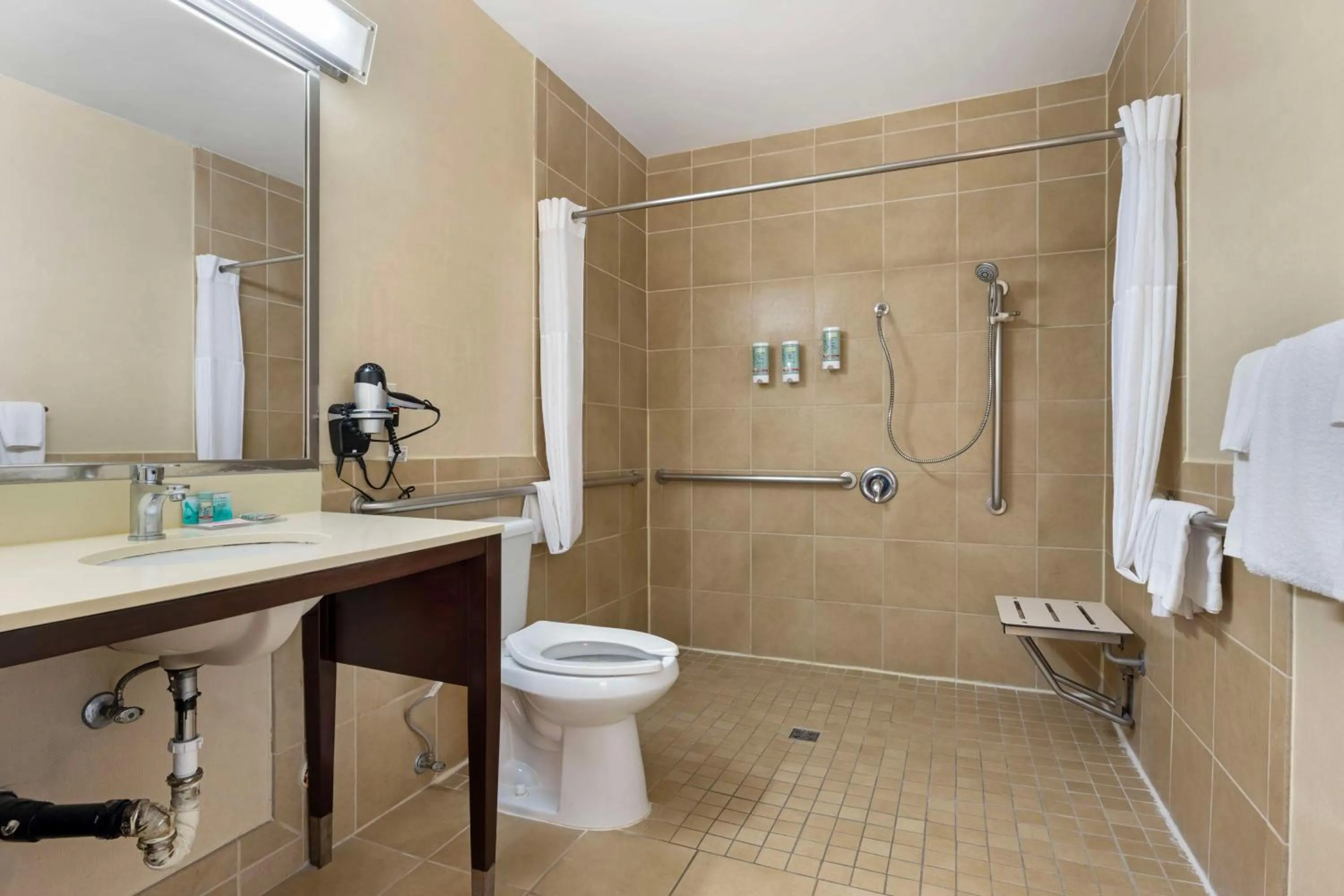 Bathroom in Best Western Royal Palace Inn & Suites