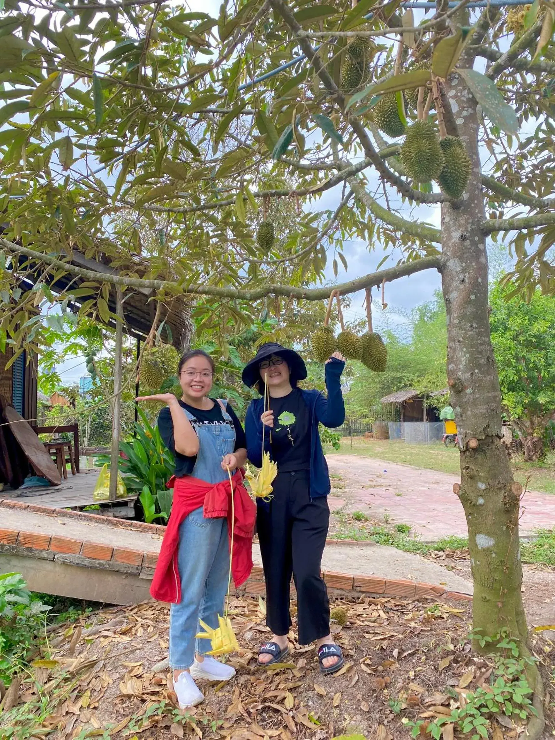 King Room with Lake View in MEKONG SILT ECOLODGE King Room with Lake View in MEKONG SILT ECOLODGE