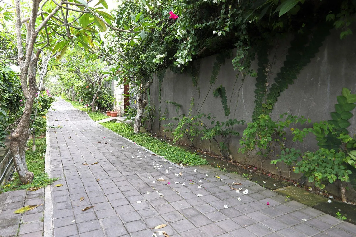 Other in Moritz Palm Villa