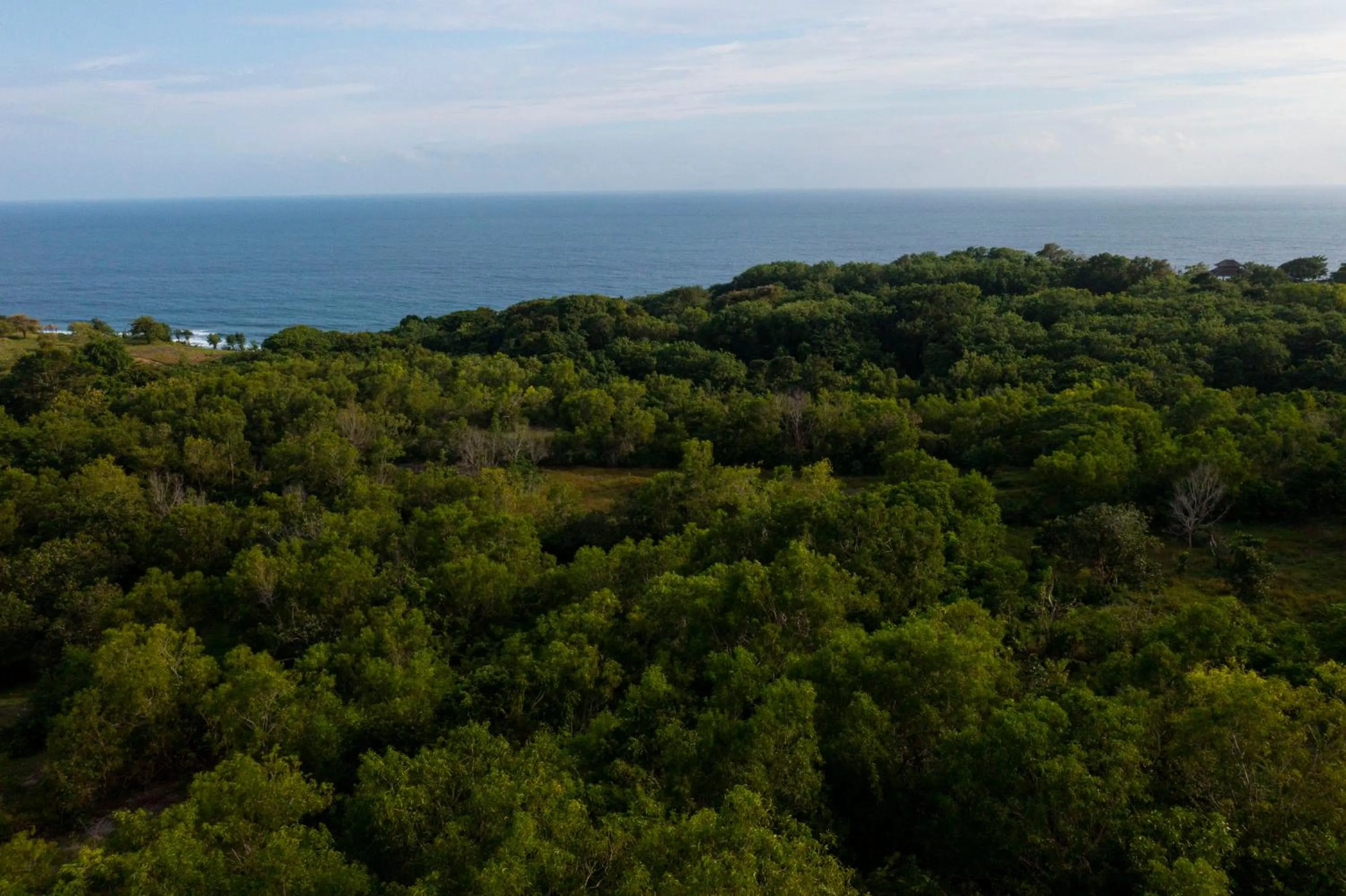 Bird's eye view in Moritz Palm Villa
