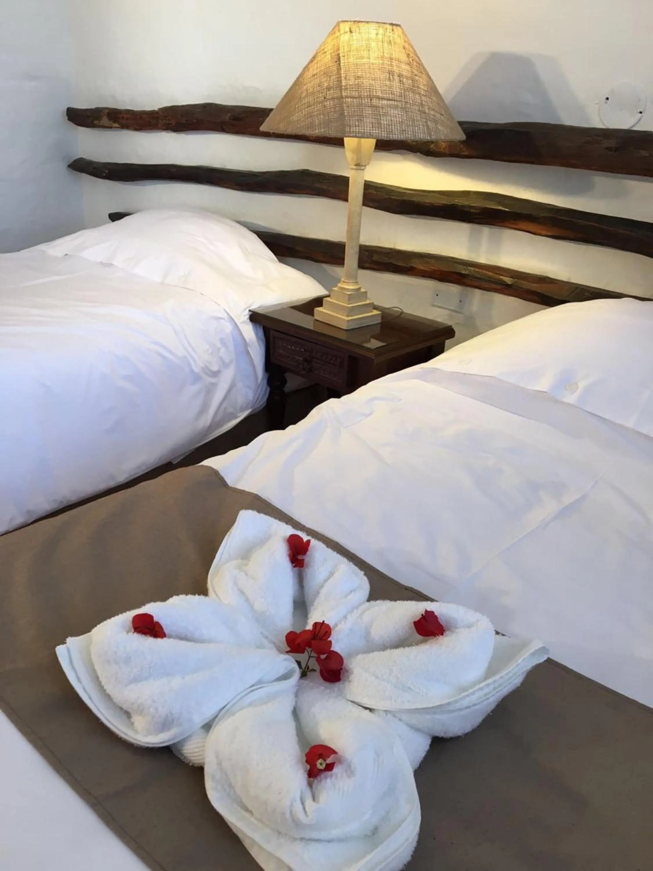 Photo of the whole room, Bed in Hotel Sol de Ica