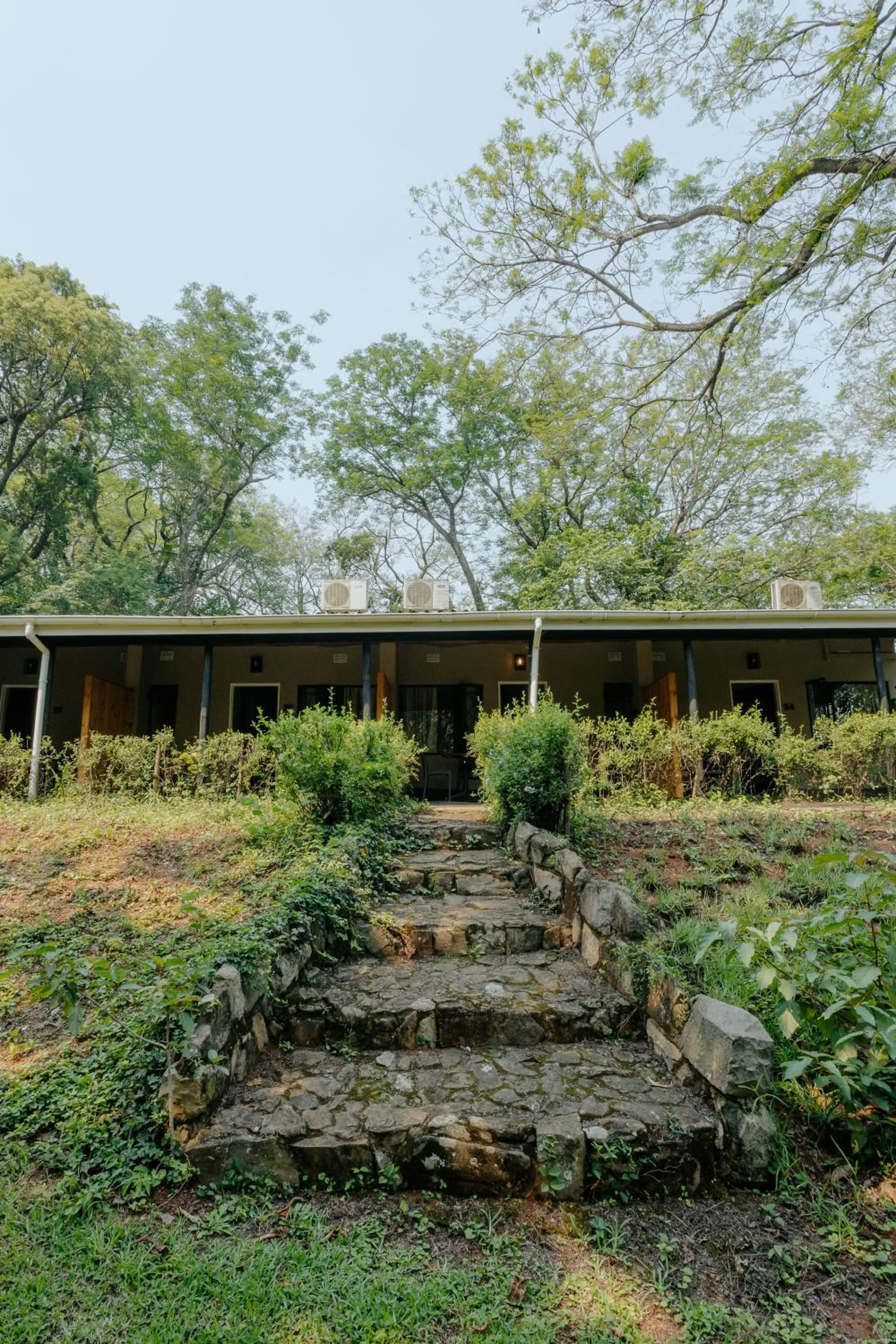 Garden in Mantenga Lodge