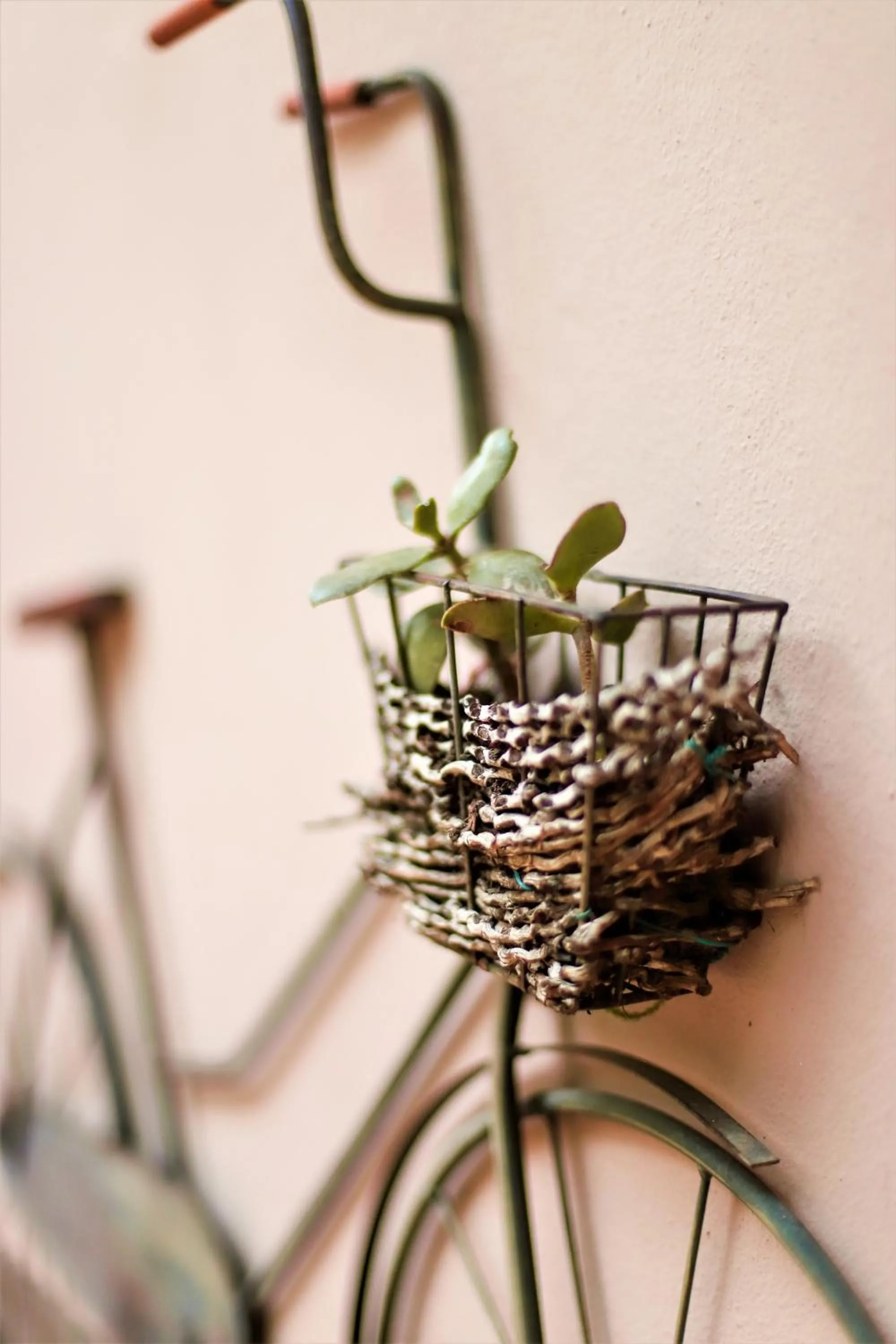 Decorative detail in Mantenga Lodge