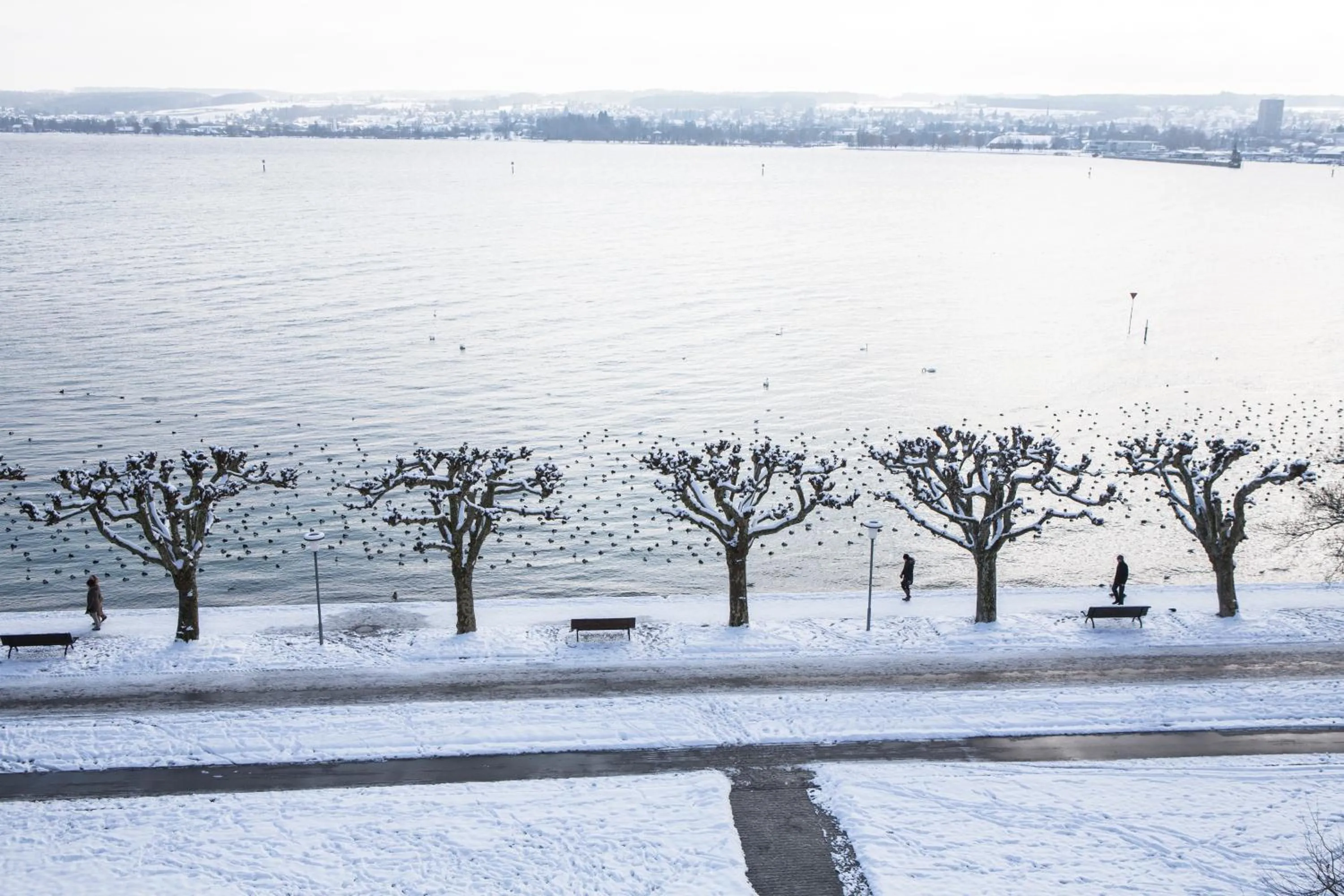 Nearby landmark in RIVA - Das Hotel am Bodensee