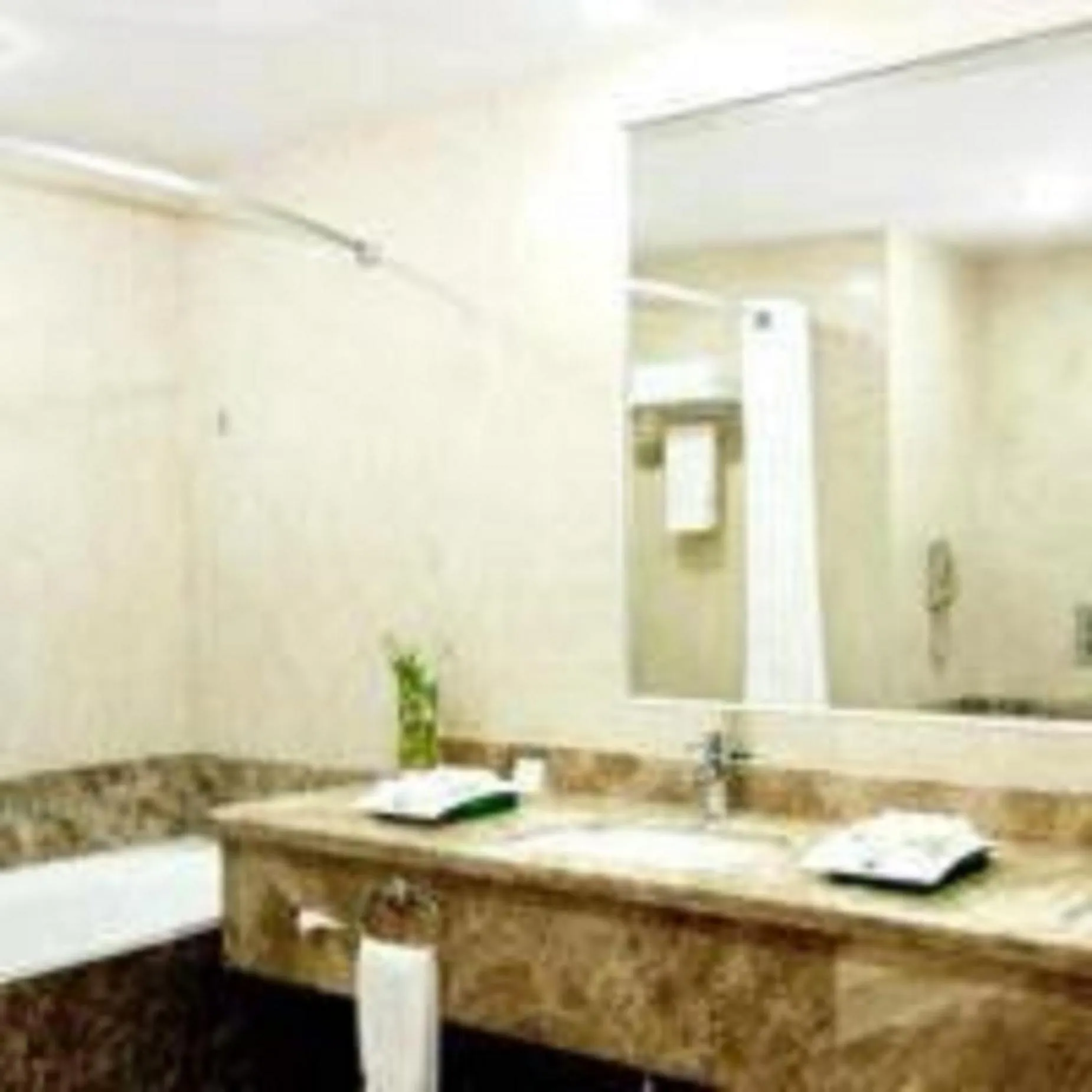 Shower in Holiday Inn Olaya by IHG