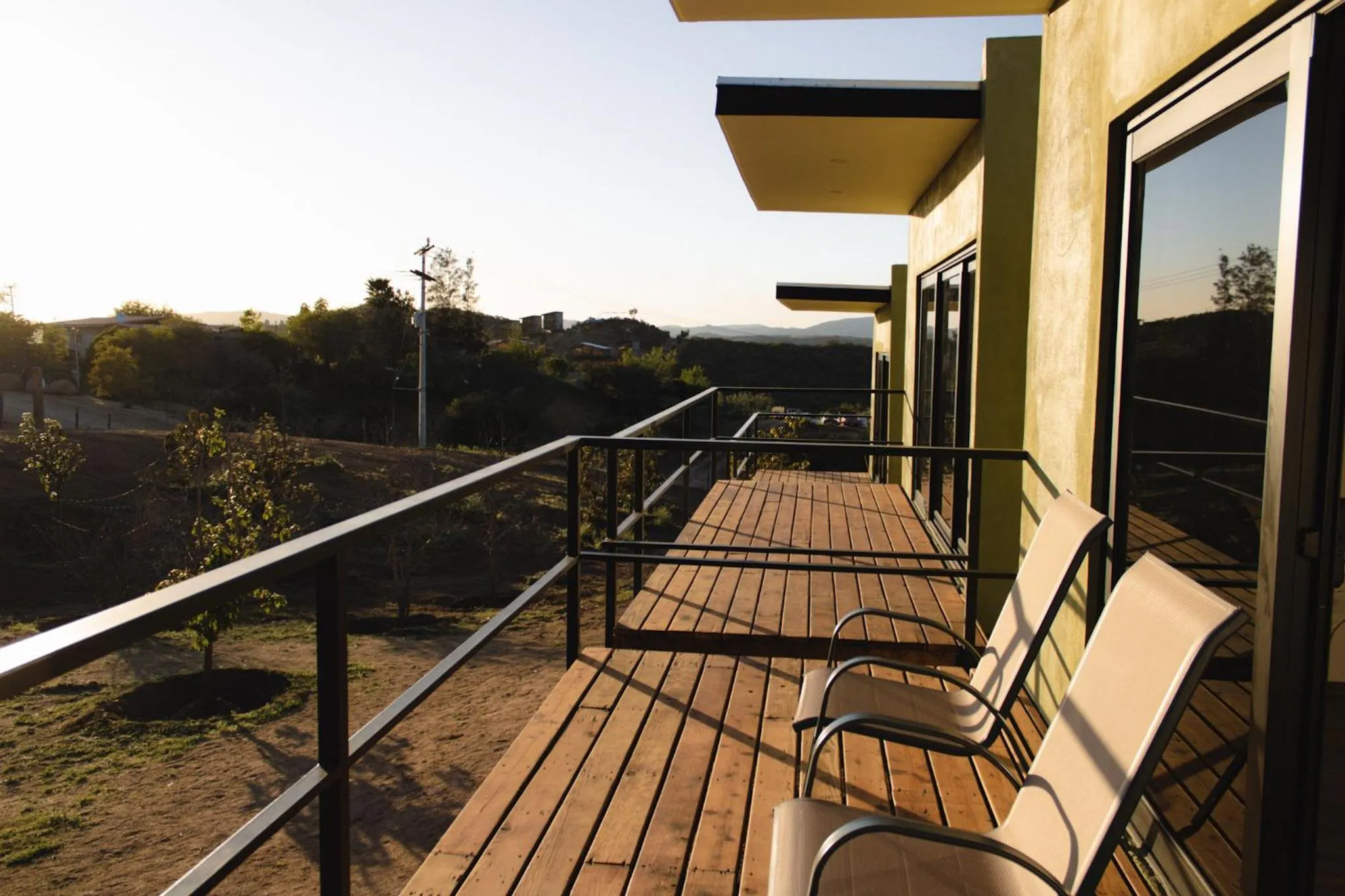 Day in Palta 60 Valle de Guadalupe