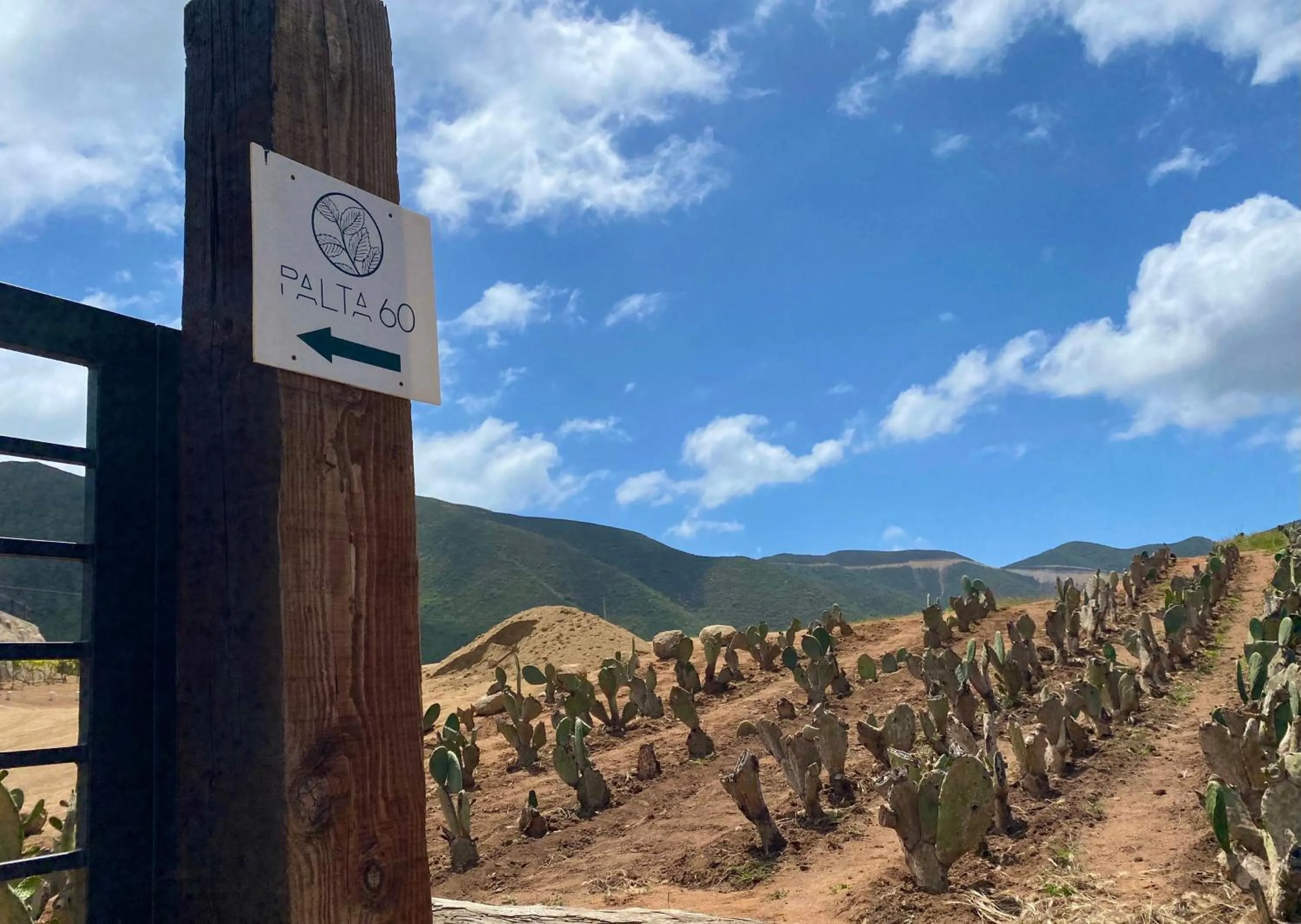 Patio in Palta 60 Valle de Guadalupe