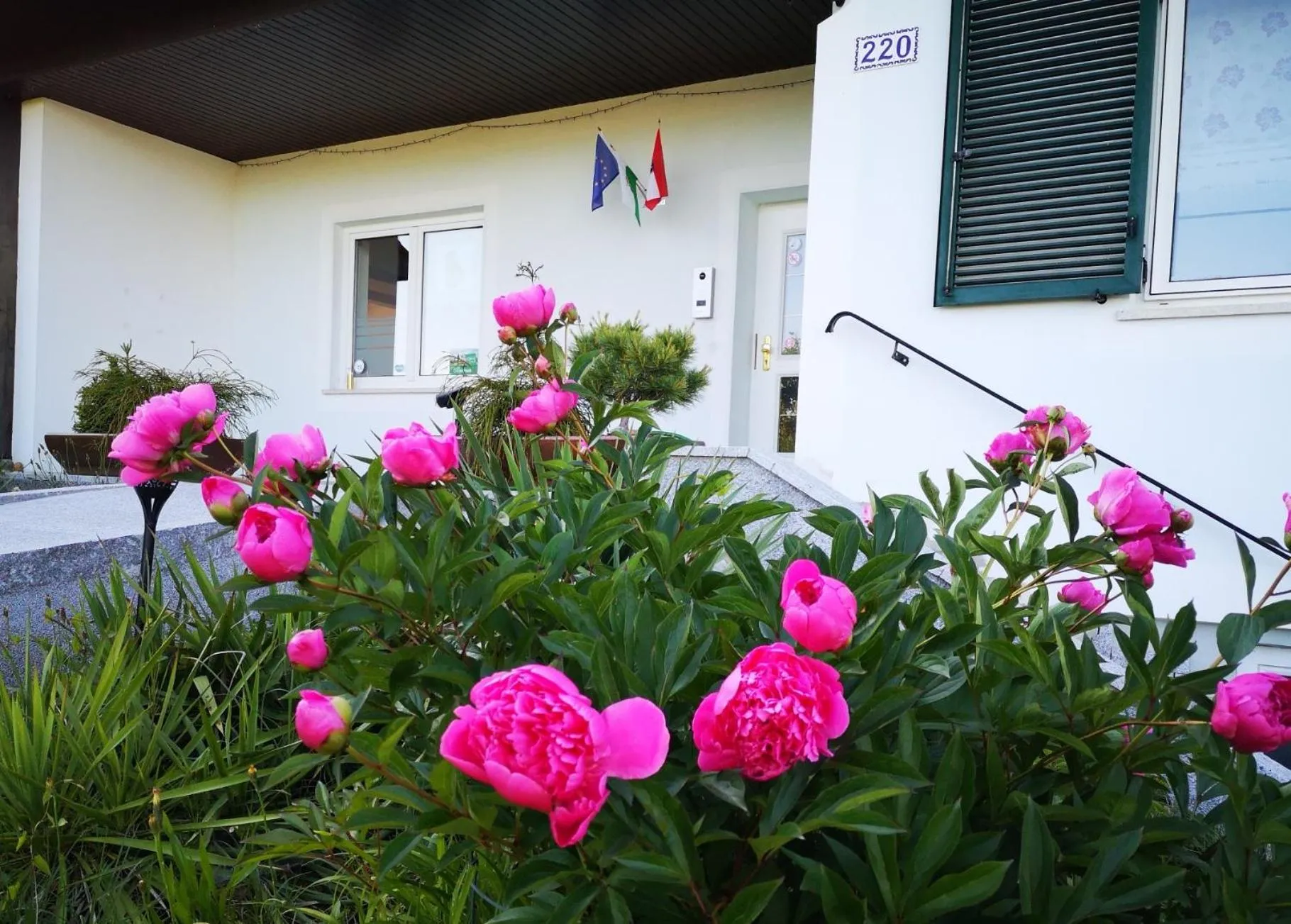 Garden view in Aparthotel "Goldener Hahn Apartments"