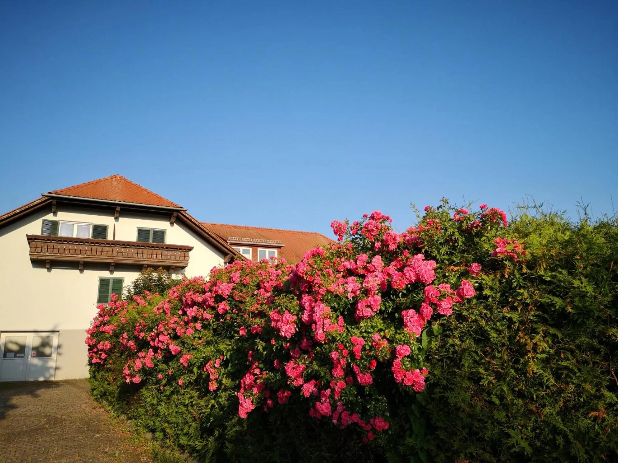 Garden in Aparthotel "Goldener Hahn Apartments"