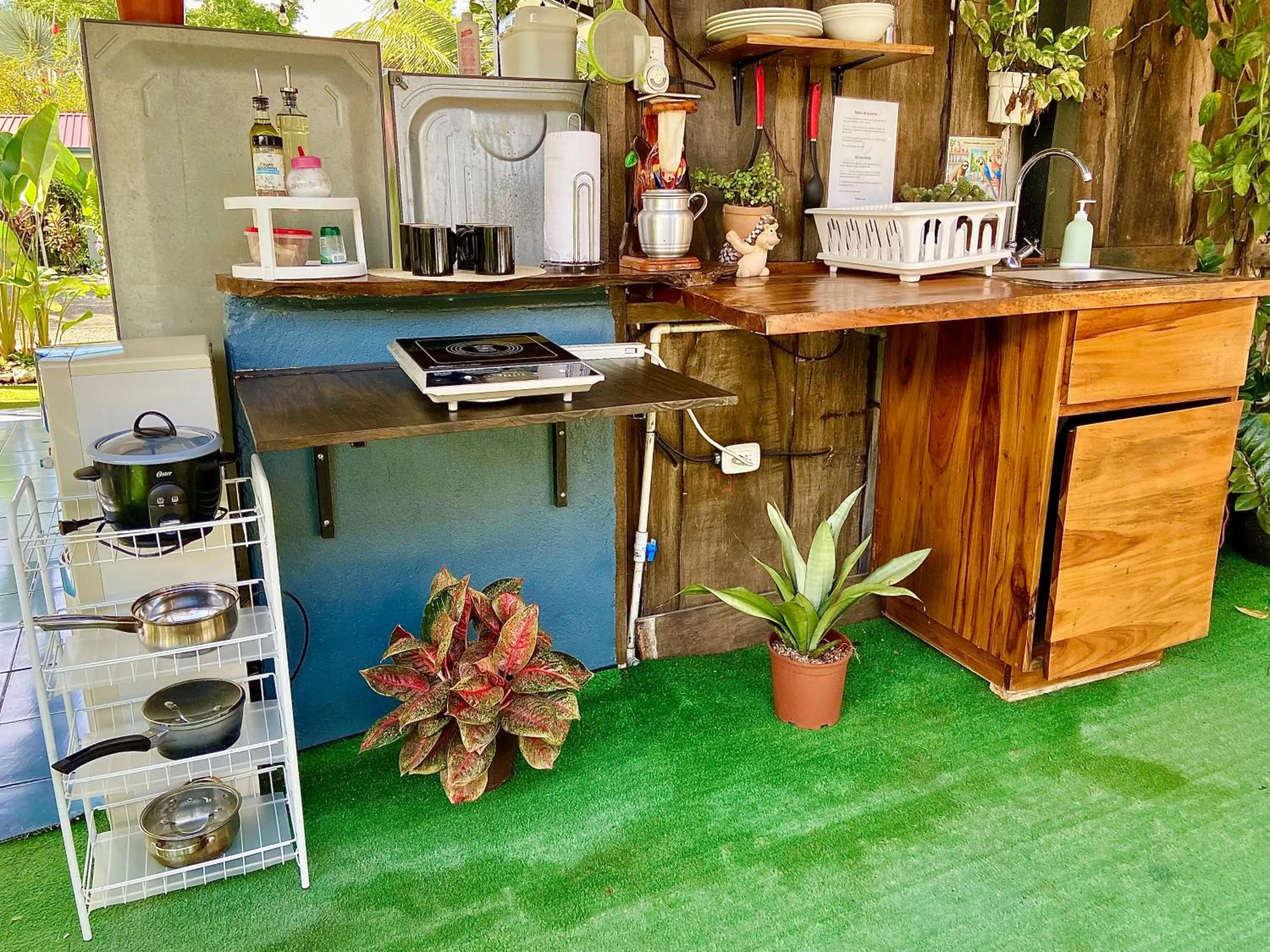 Communal kitchen in Rooms & Pool Macaws