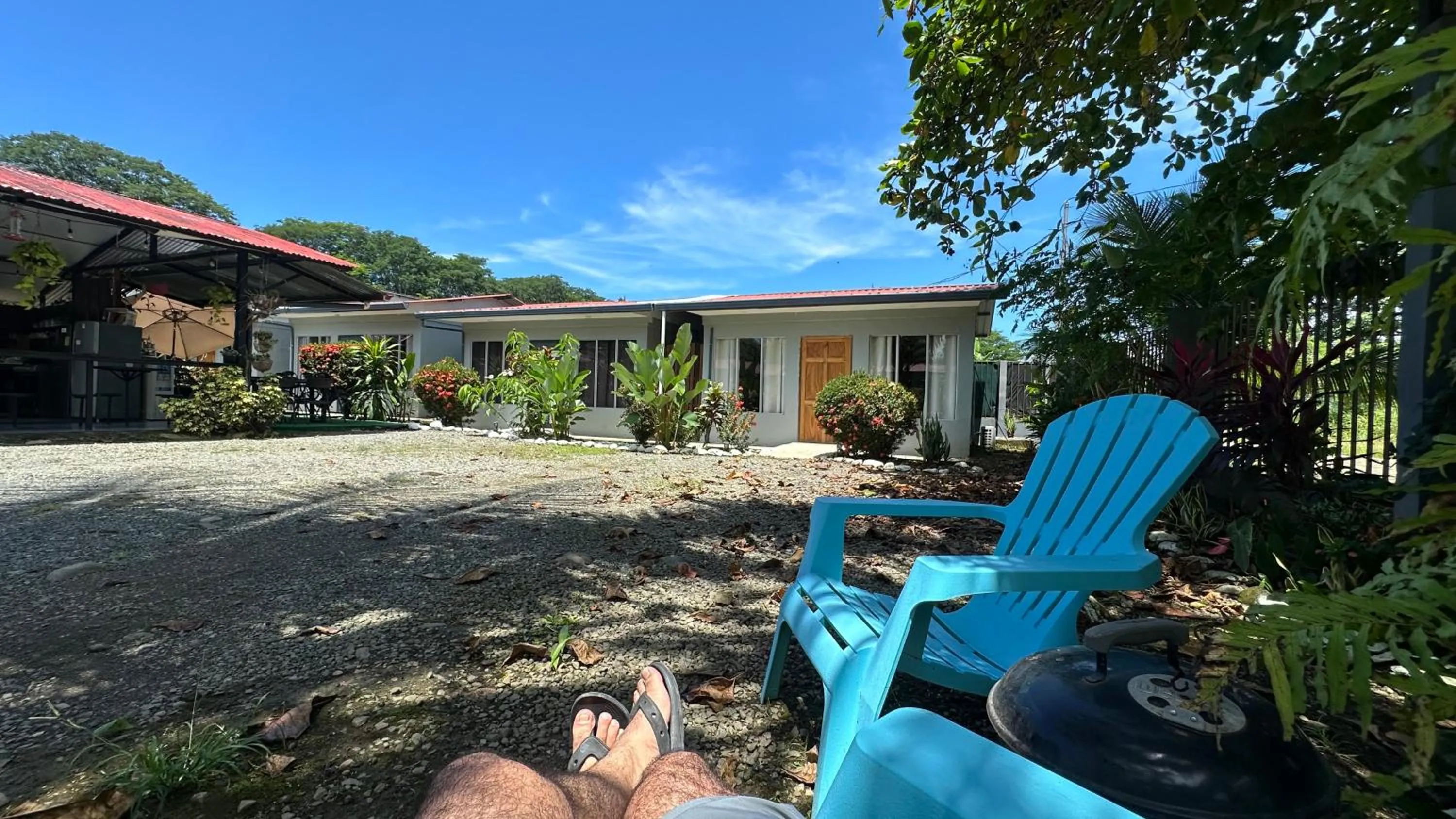 Off site in Rooms & Pool Macaws