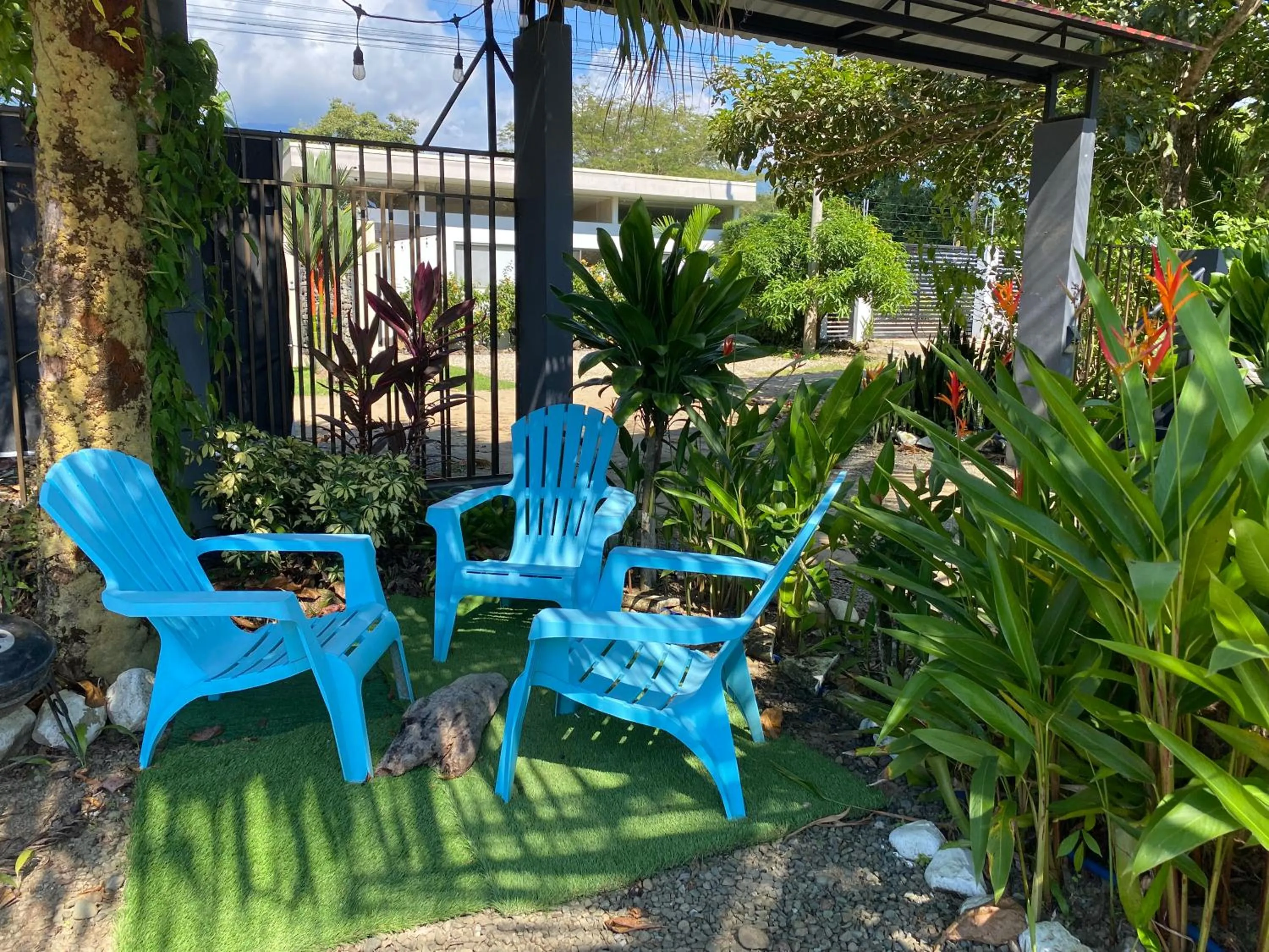 Patio in Rooms & Pool Macaws