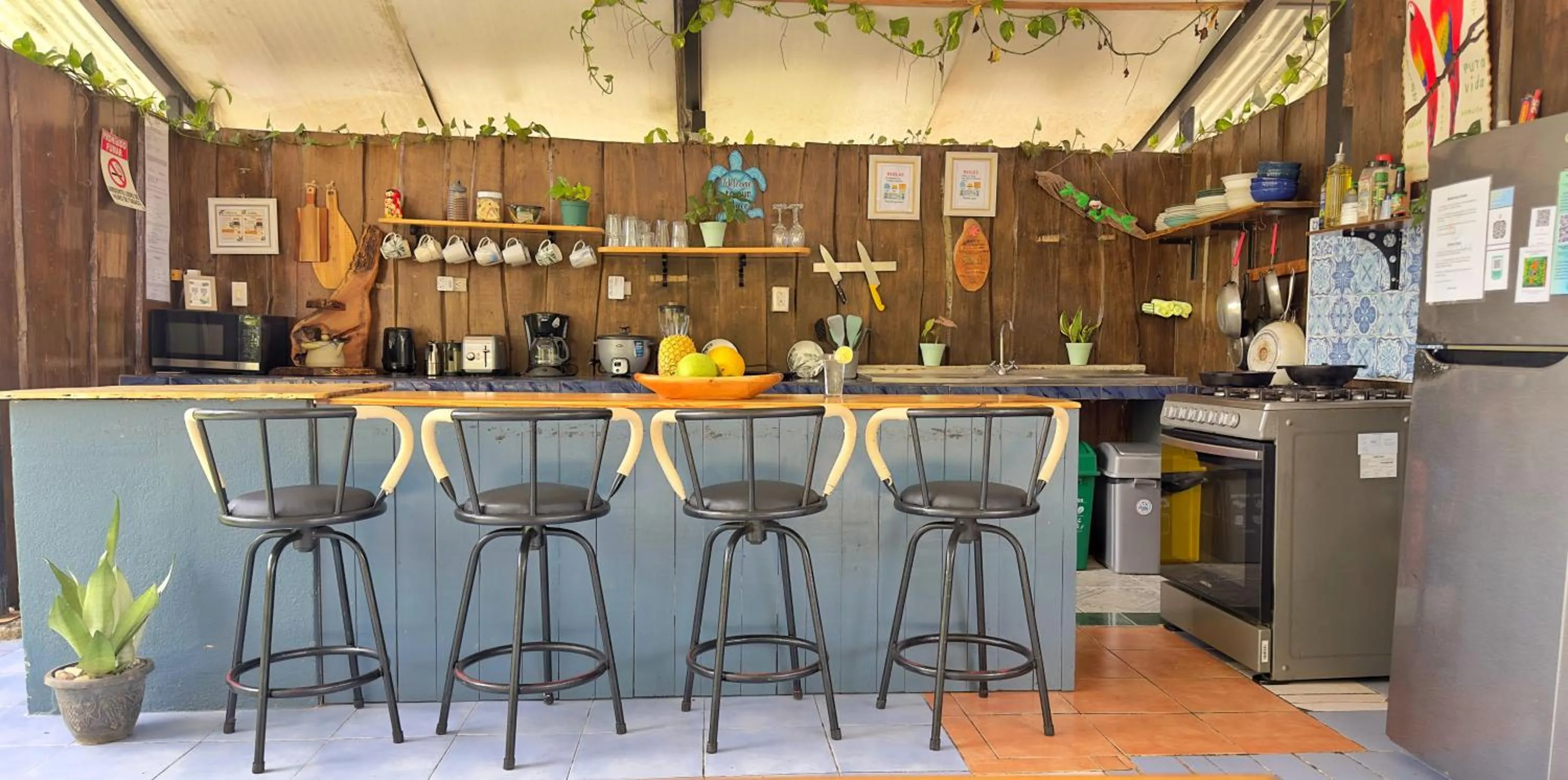 Communal kitchen in Rooms & Pool Macaws