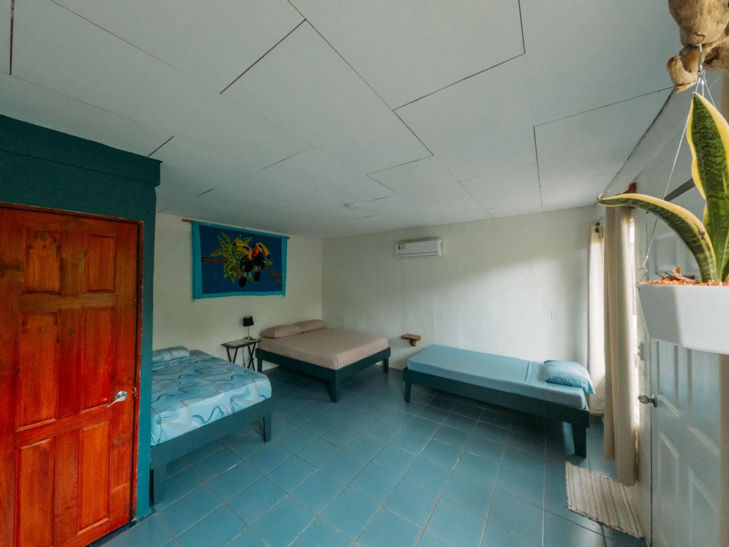Photo of the whole room, Bed in Rooms & Pool Macaws