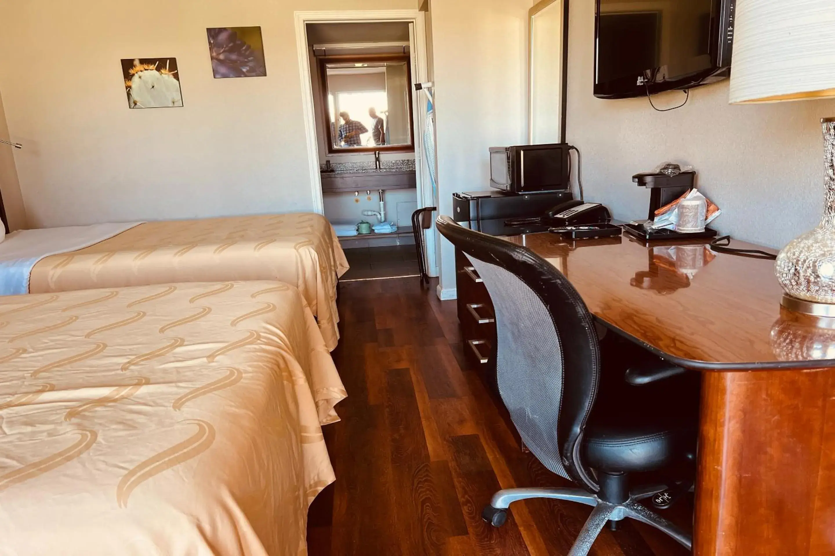 2 Queen Beds Accessible Non-Smoking - single occupancy in Cambridge Inn 2 Queen Beds Accessible Non-Smoking - single occupancy in Cambridge Inn