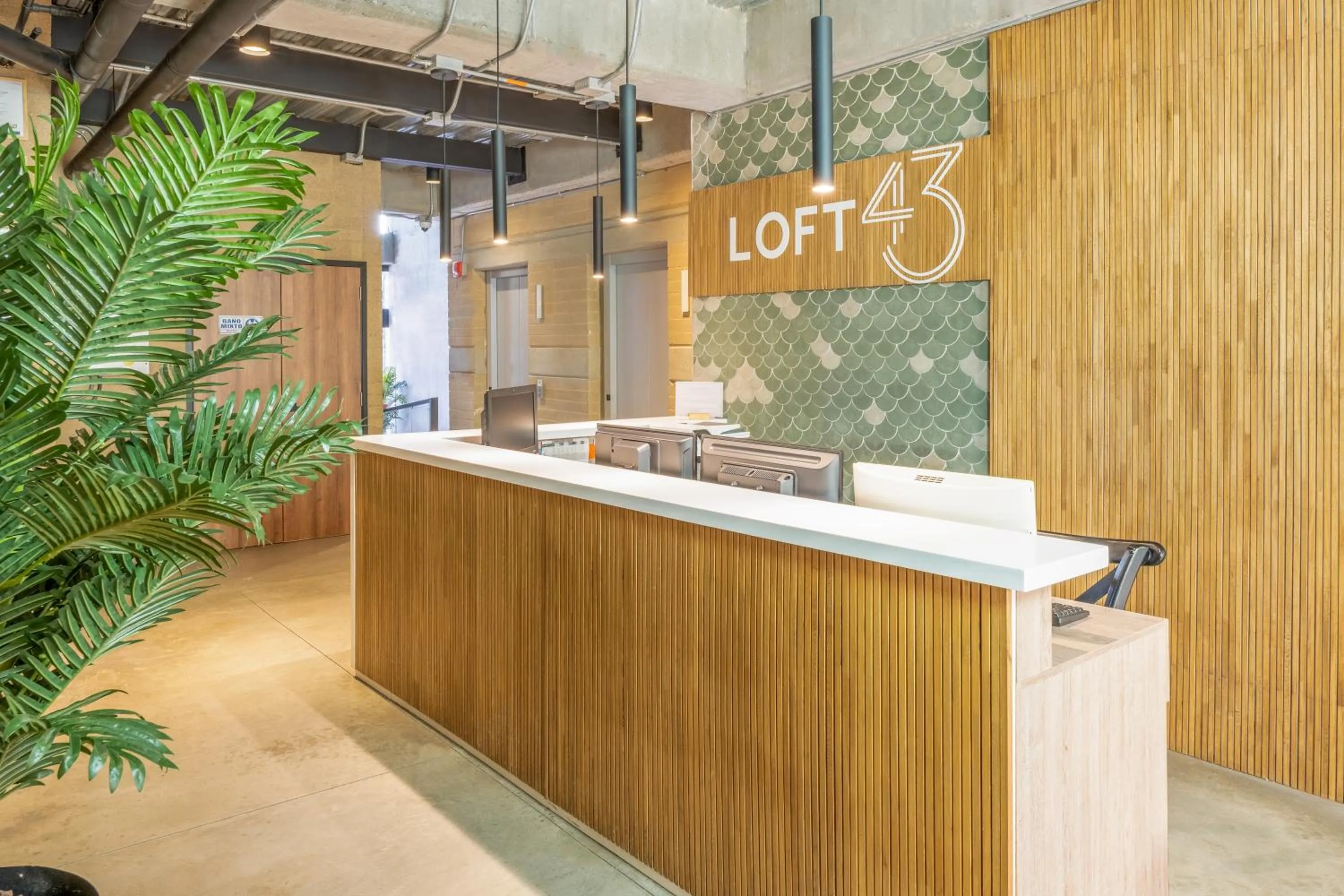 Loft 43