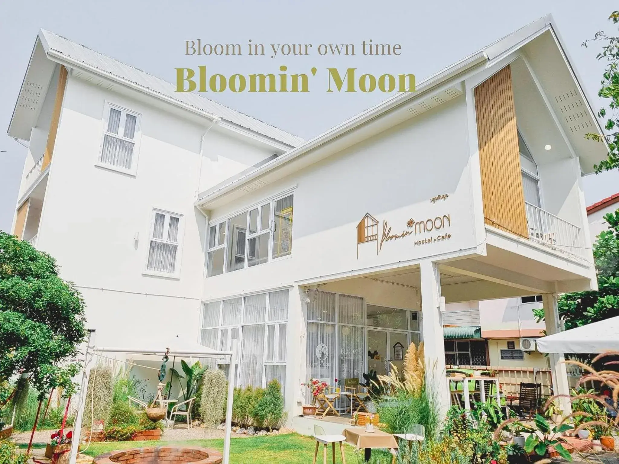 Bloomin' Moon hostel & cafe, Chiang Mai Old Town Bloomin' Moon hostel & cafe, Chiang Mai Old Town