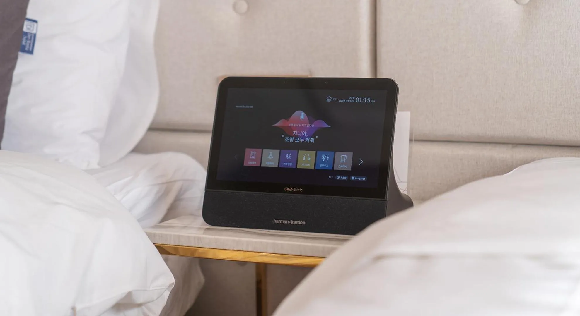 TV and multimedia, Bed in Denbasta forest Hotel