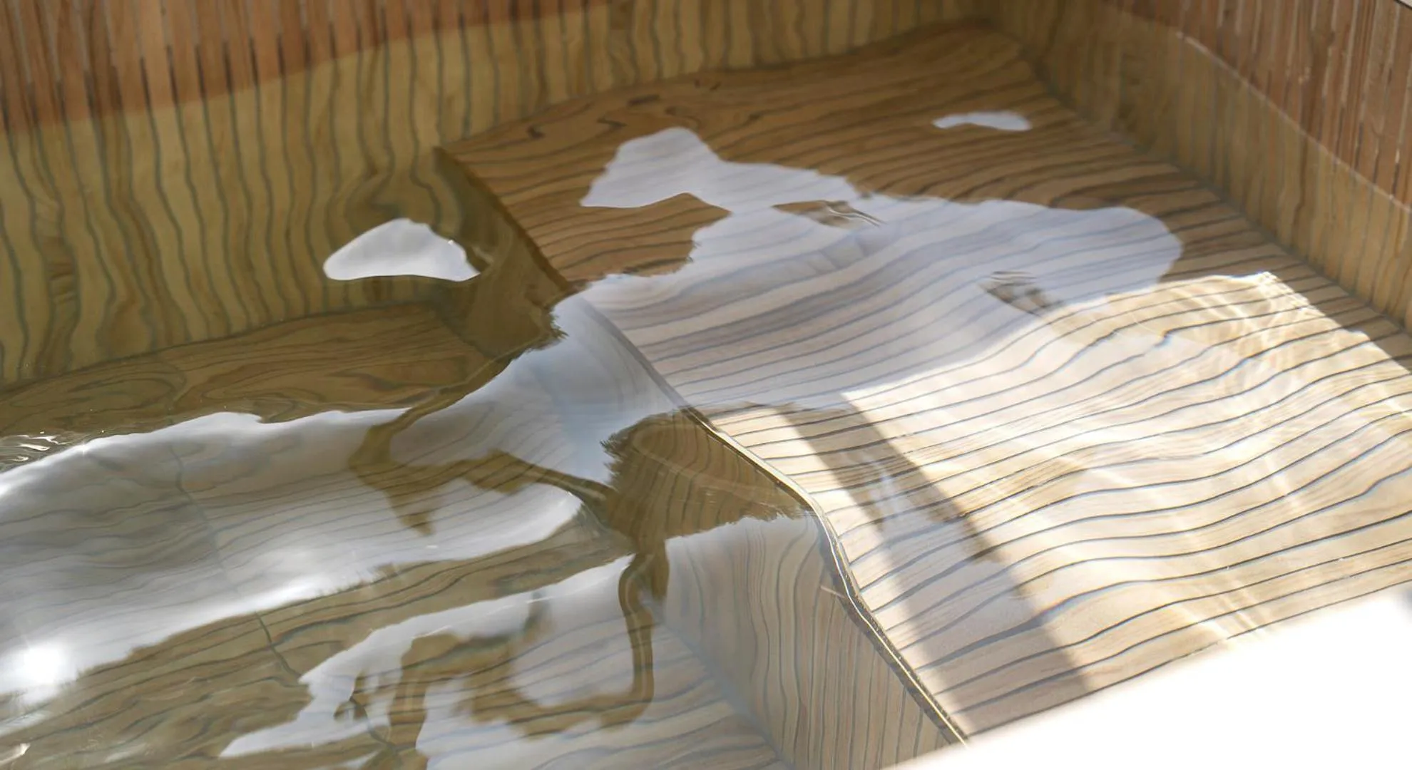 Hot Tub in Denbasta forest Hotel