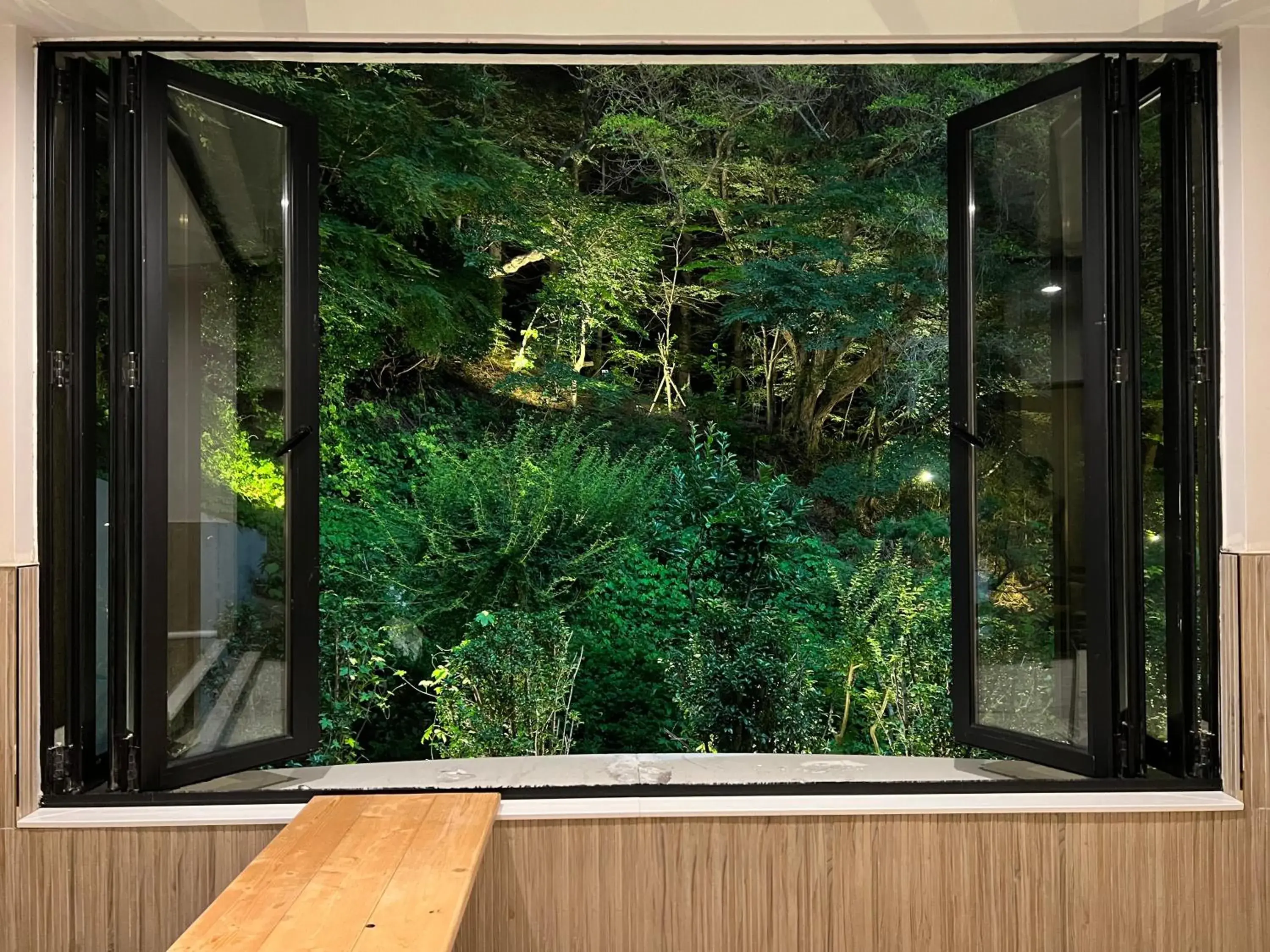 View (from property/room) in Denbasta forest Hotel View (from property/room) in Denbasta forest Hotel