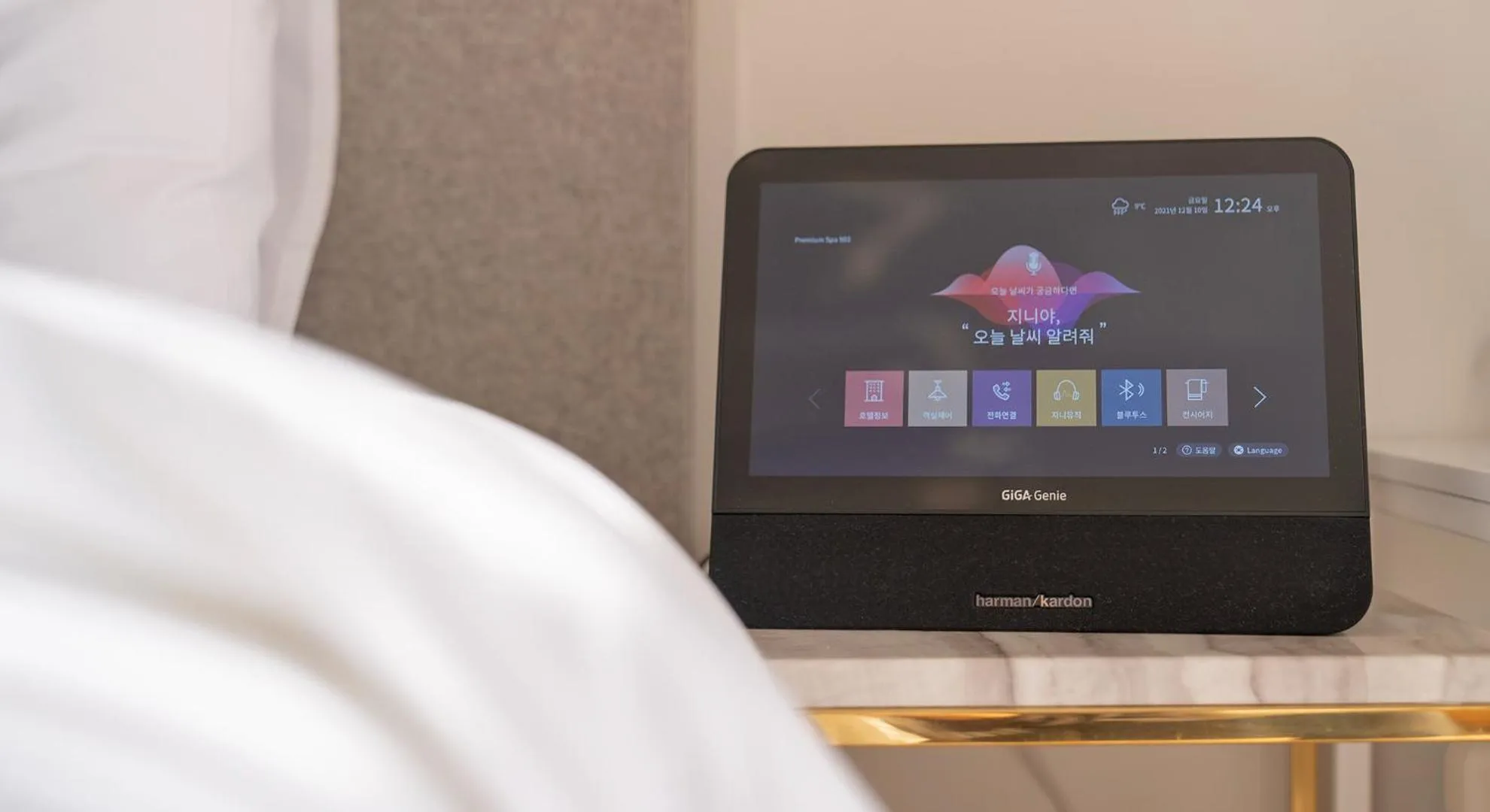 TV and multimedia in Denbasta forest Hotel