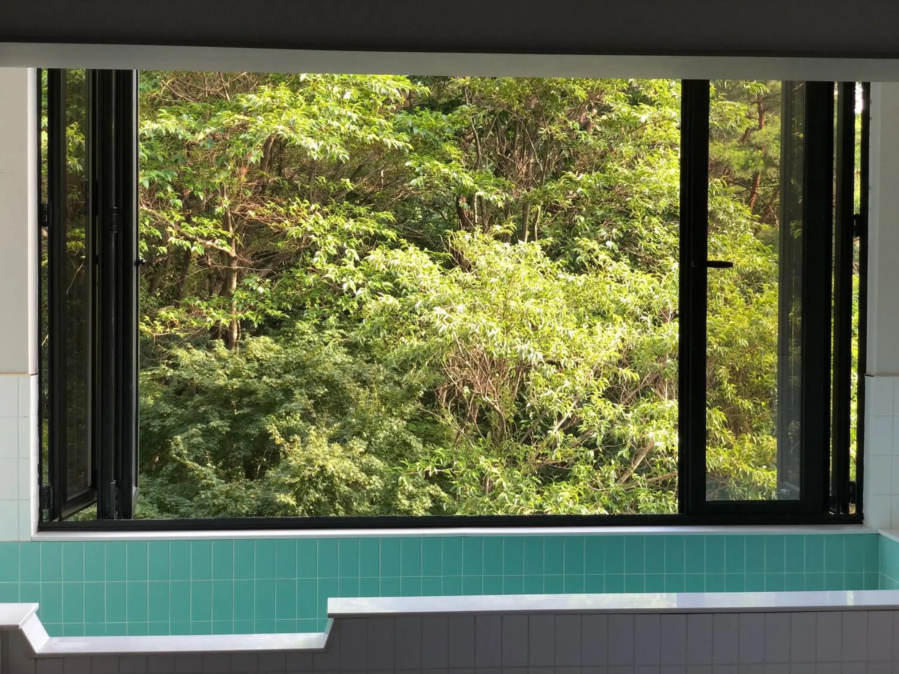 View (from property/room) in Denbasta forest Hotel View (from property/room) in Denbasta forest Hotel