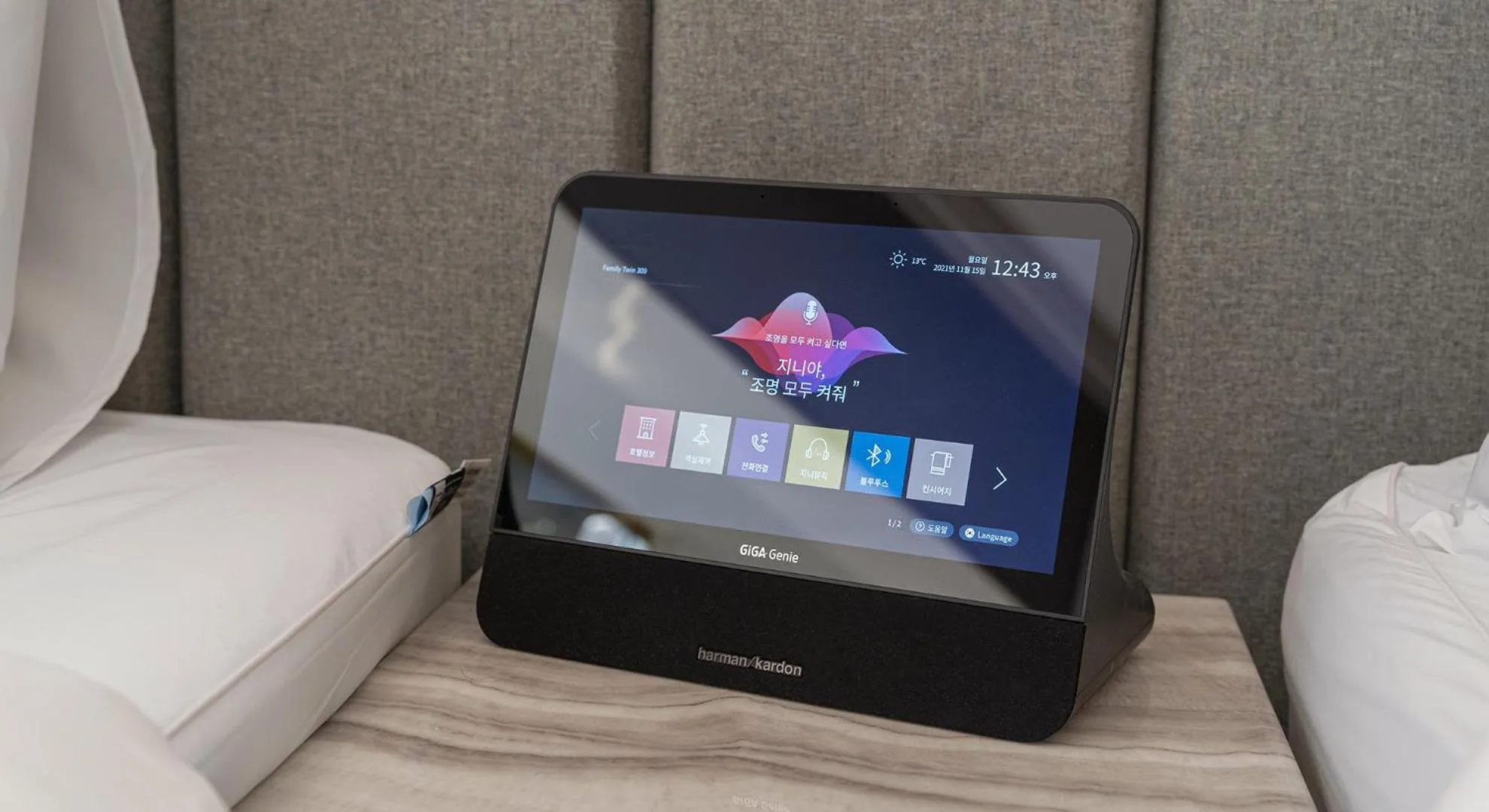 TV and multimedia in Denbasta forest Hotel