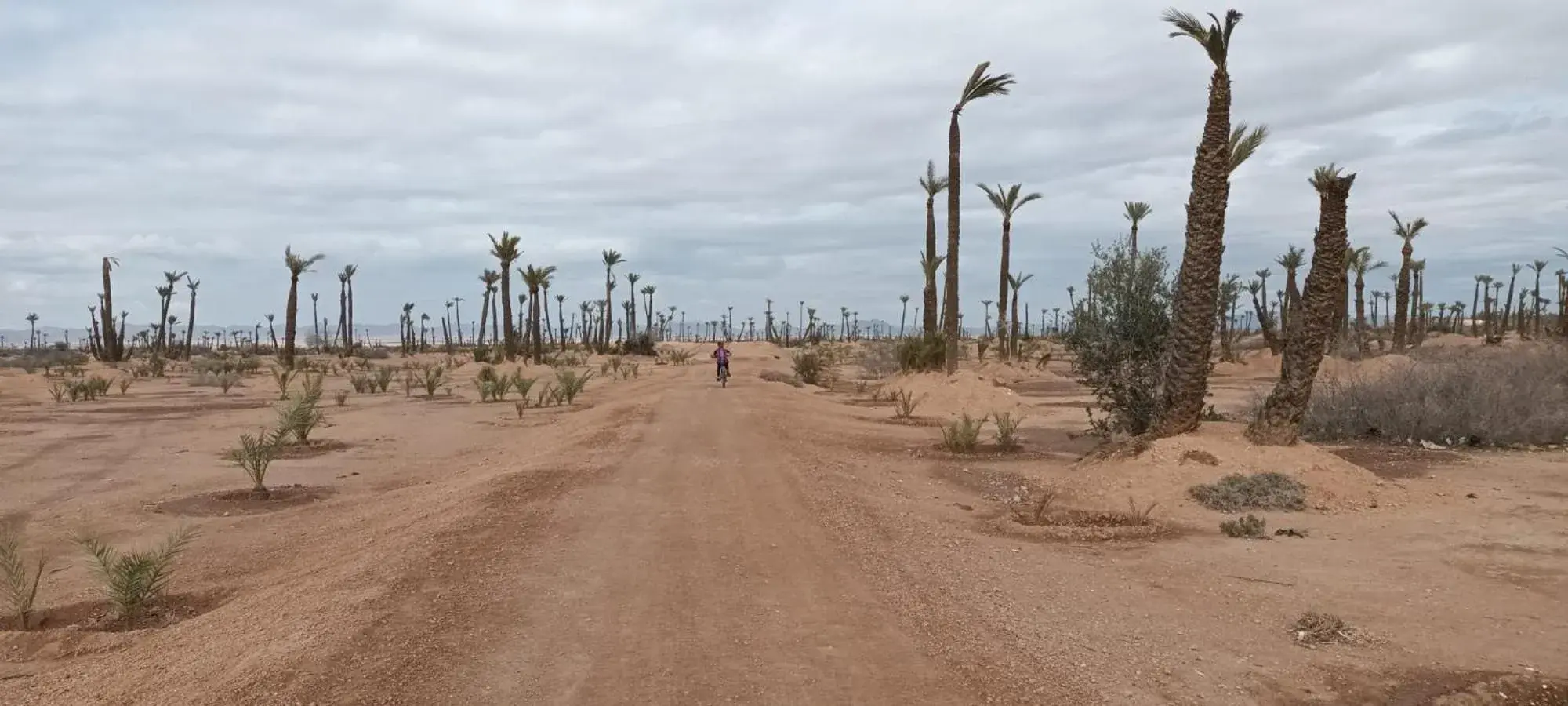 Riad Amegrad Riad Amegrad