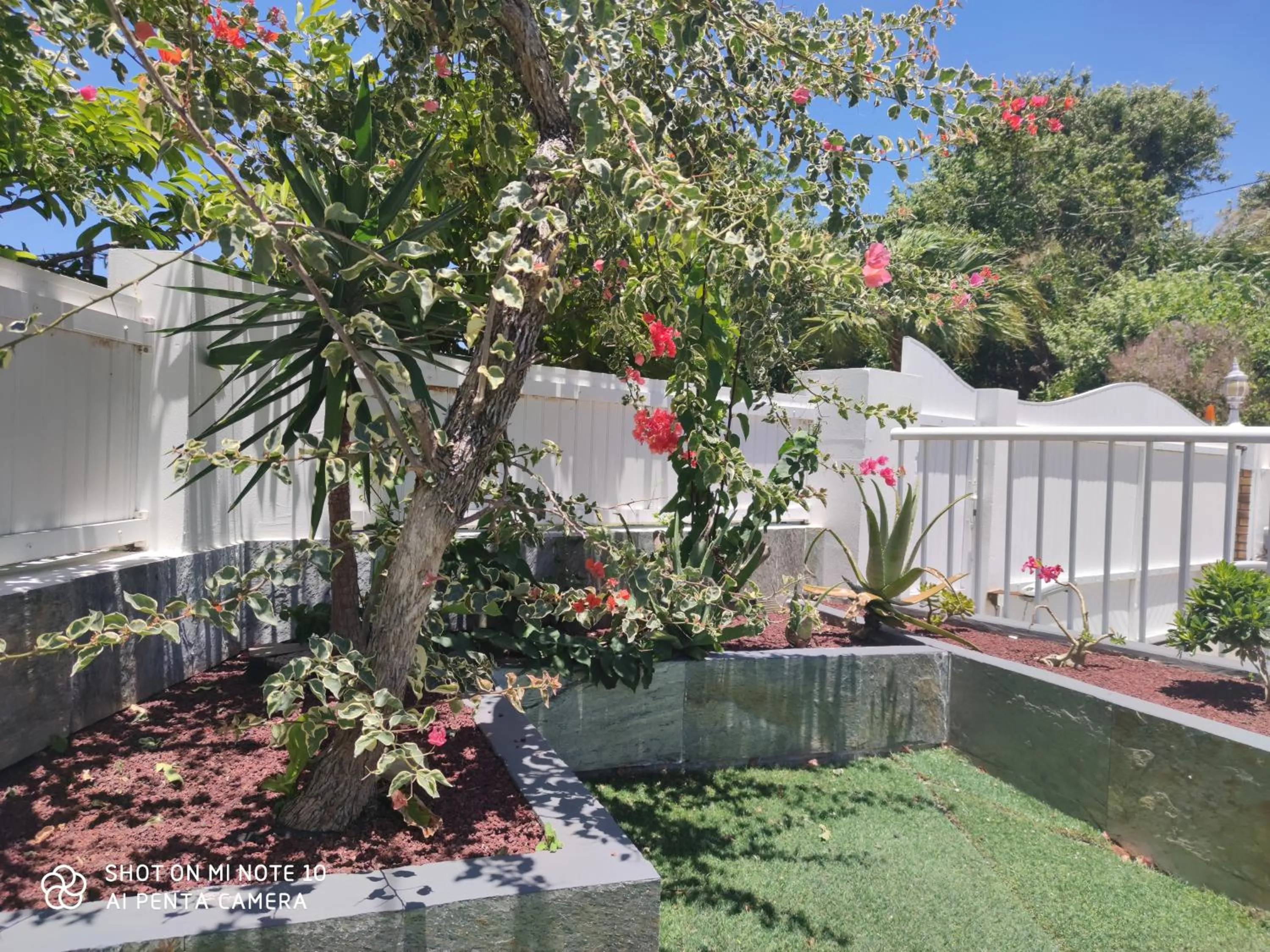 villa Areca